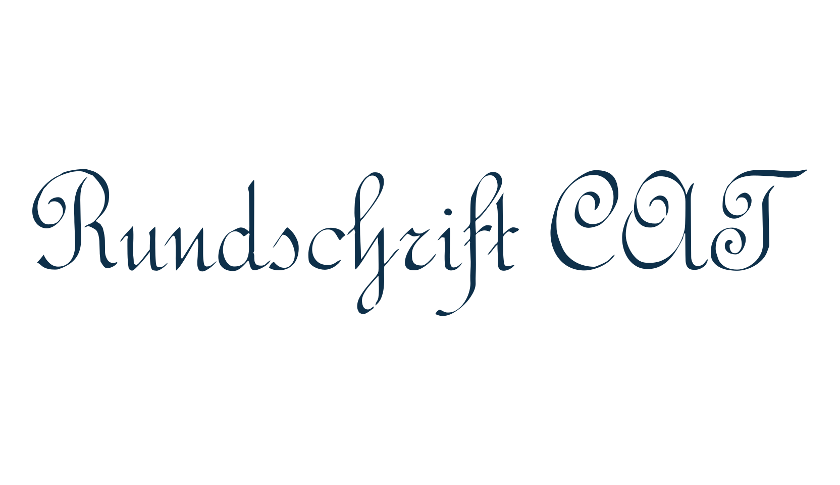 Rundschrift CAT, fancy various decorative script calligraphy font preview