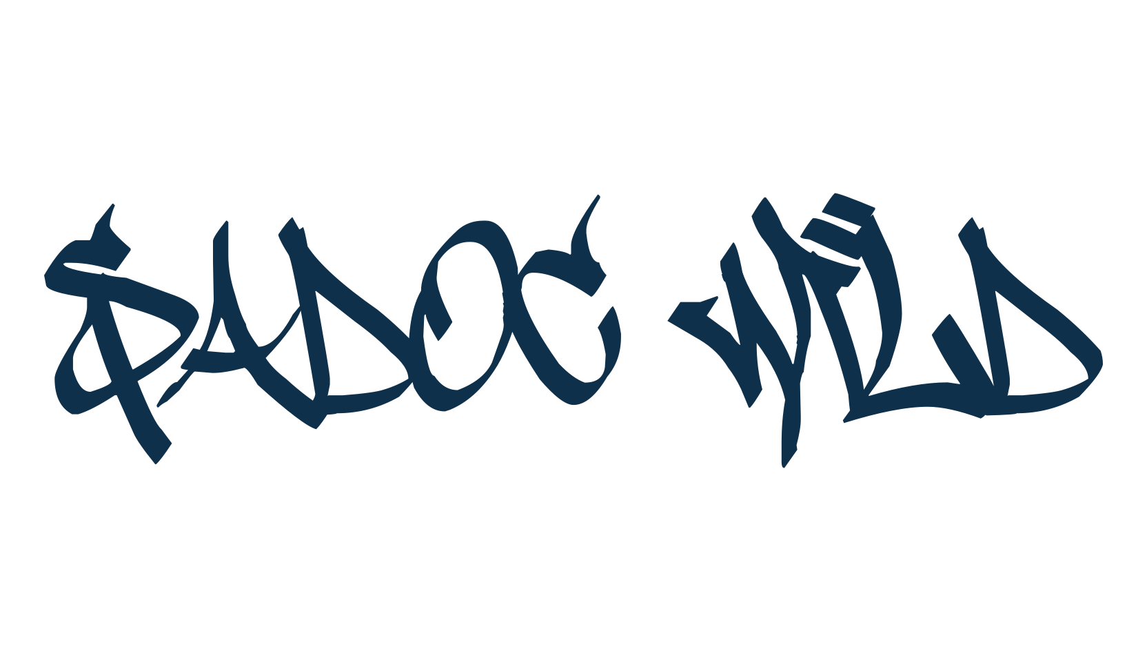 Sadoc Wild, script graffiti fancy decorative calligraphy font preview