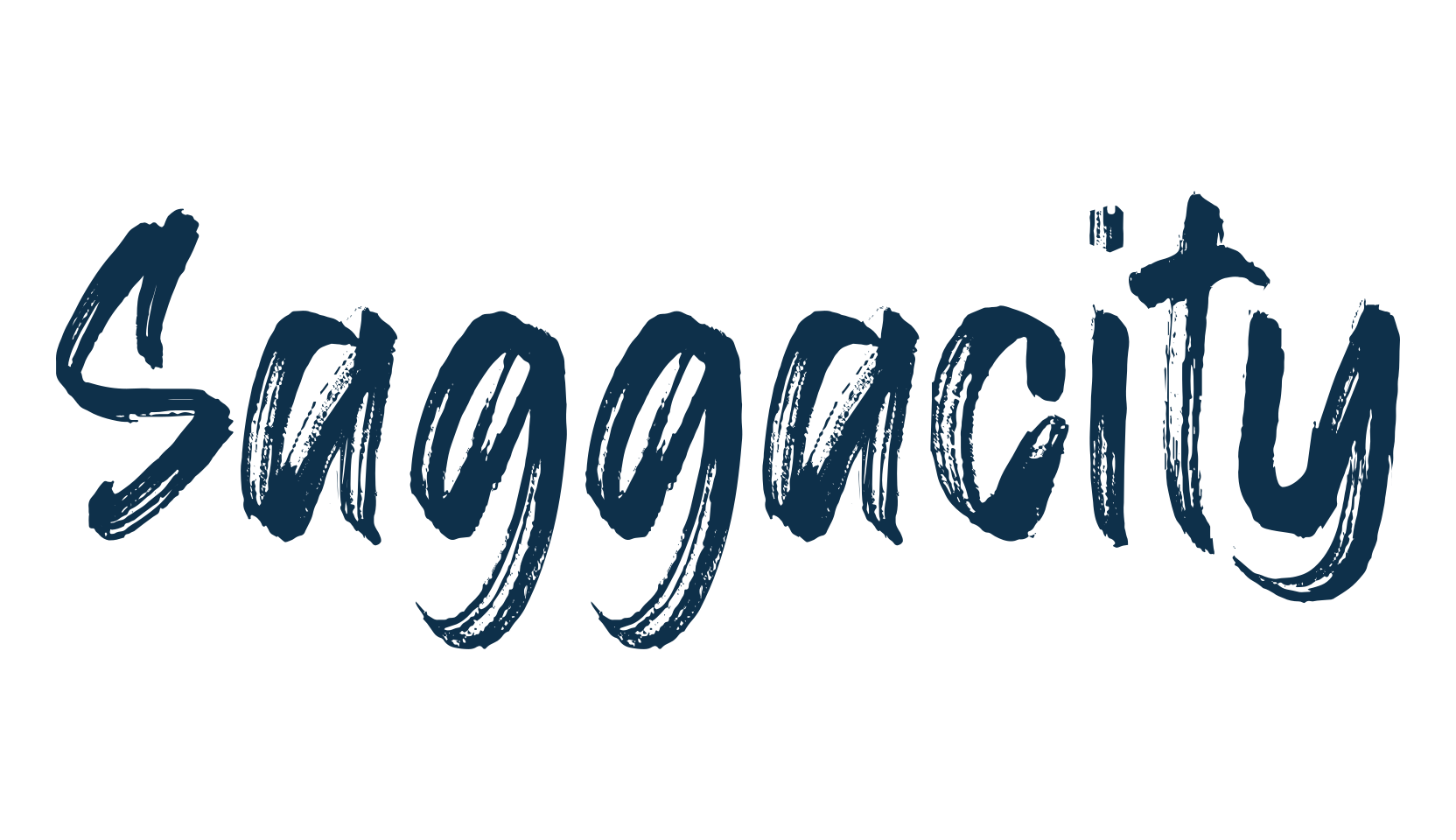 Saggacity, brush font preview