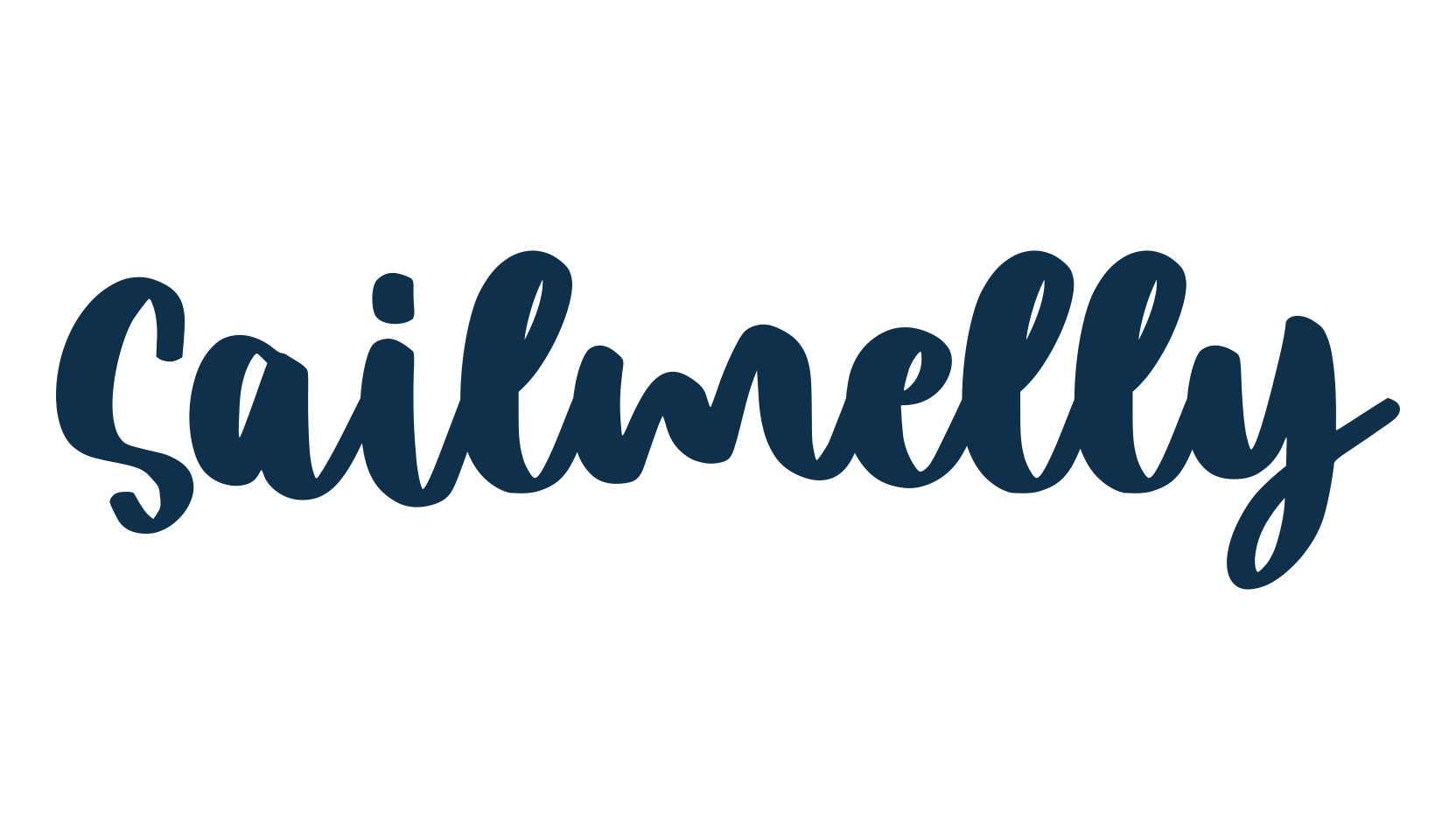 Sailmelly, script handwritten fancy decorative calligraphy font preview