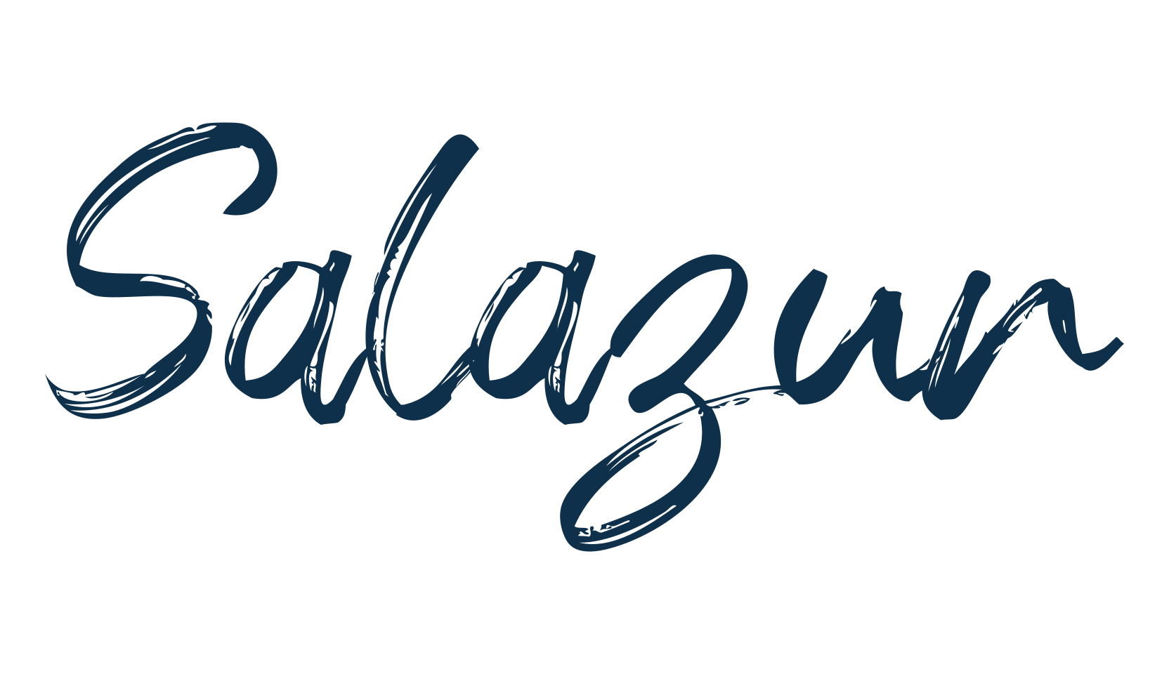 Salazur, script brush fancy decorative calligraphy font preview