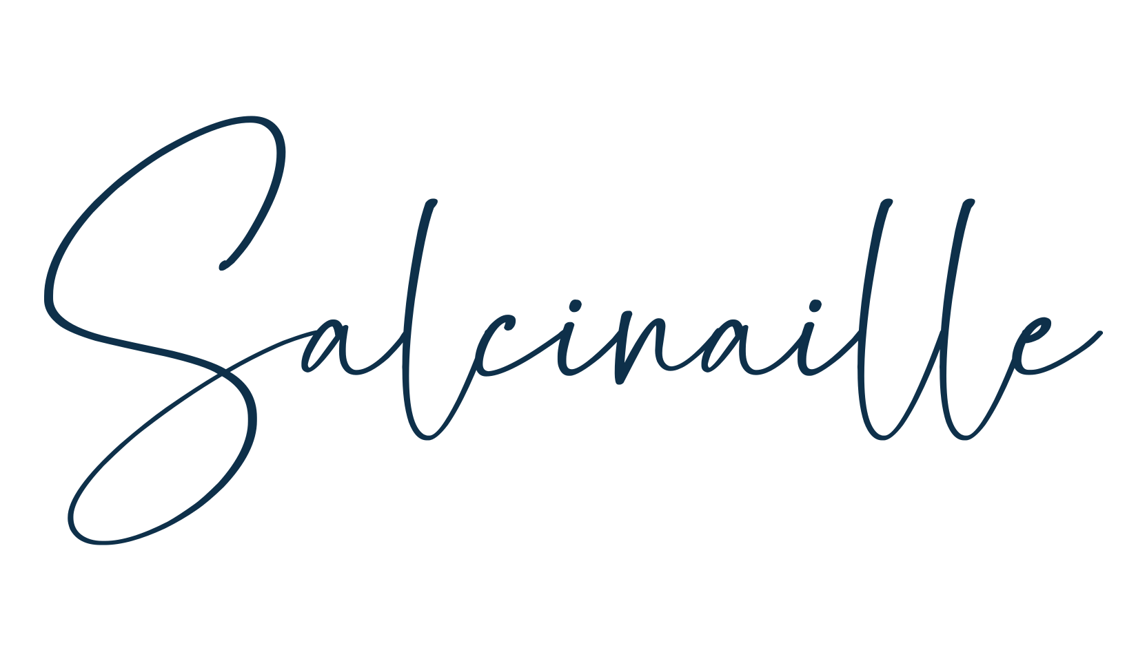 Salcinaille, script handwritten fancy decorative calligraphy font preview