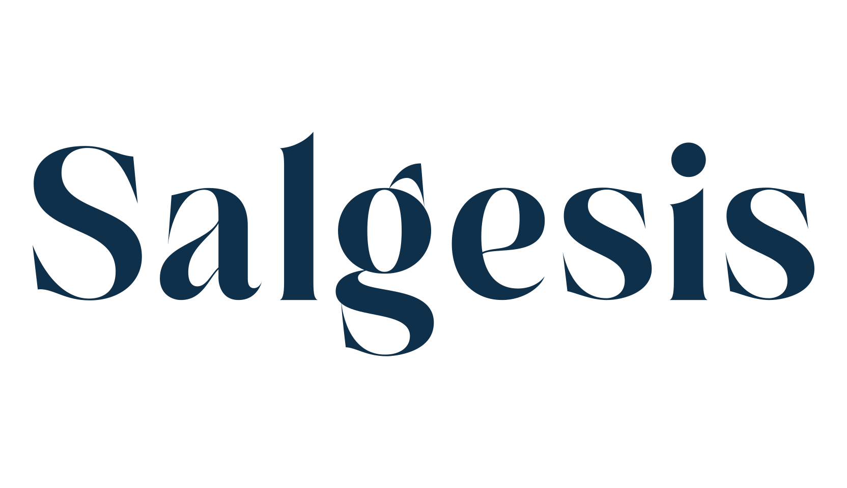 Salgesis, serif font preview