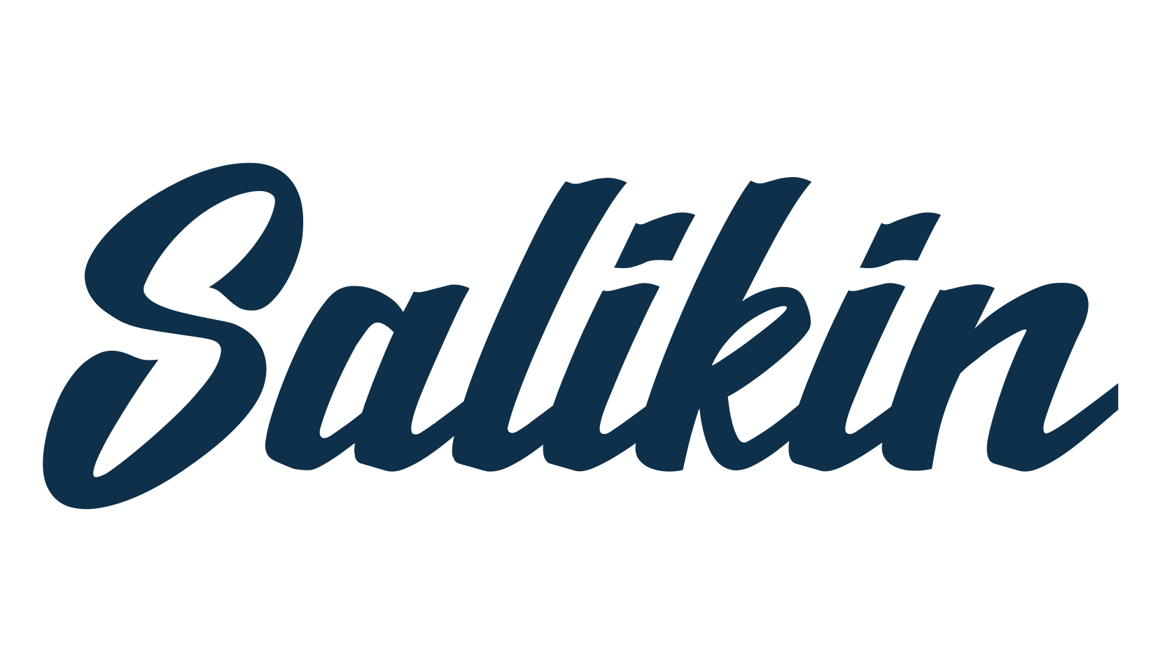 Salikin, fancy various decorative script calligraphy font preview
