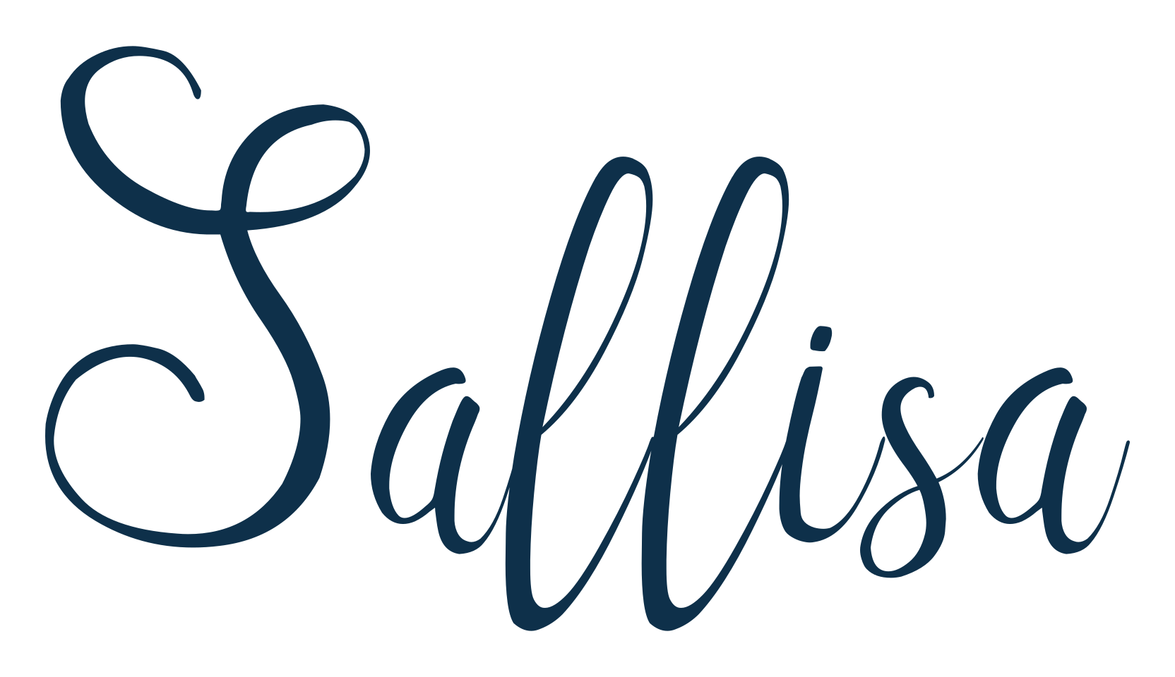 Sallisa, script handwritten fancy decorative calligraphy font preview
