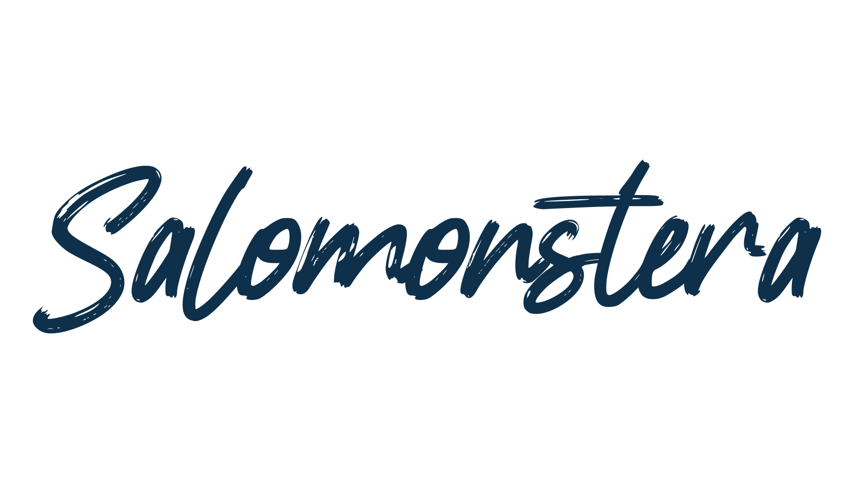 Salomonstera, script brush fancy decorative calligraphy font preview
