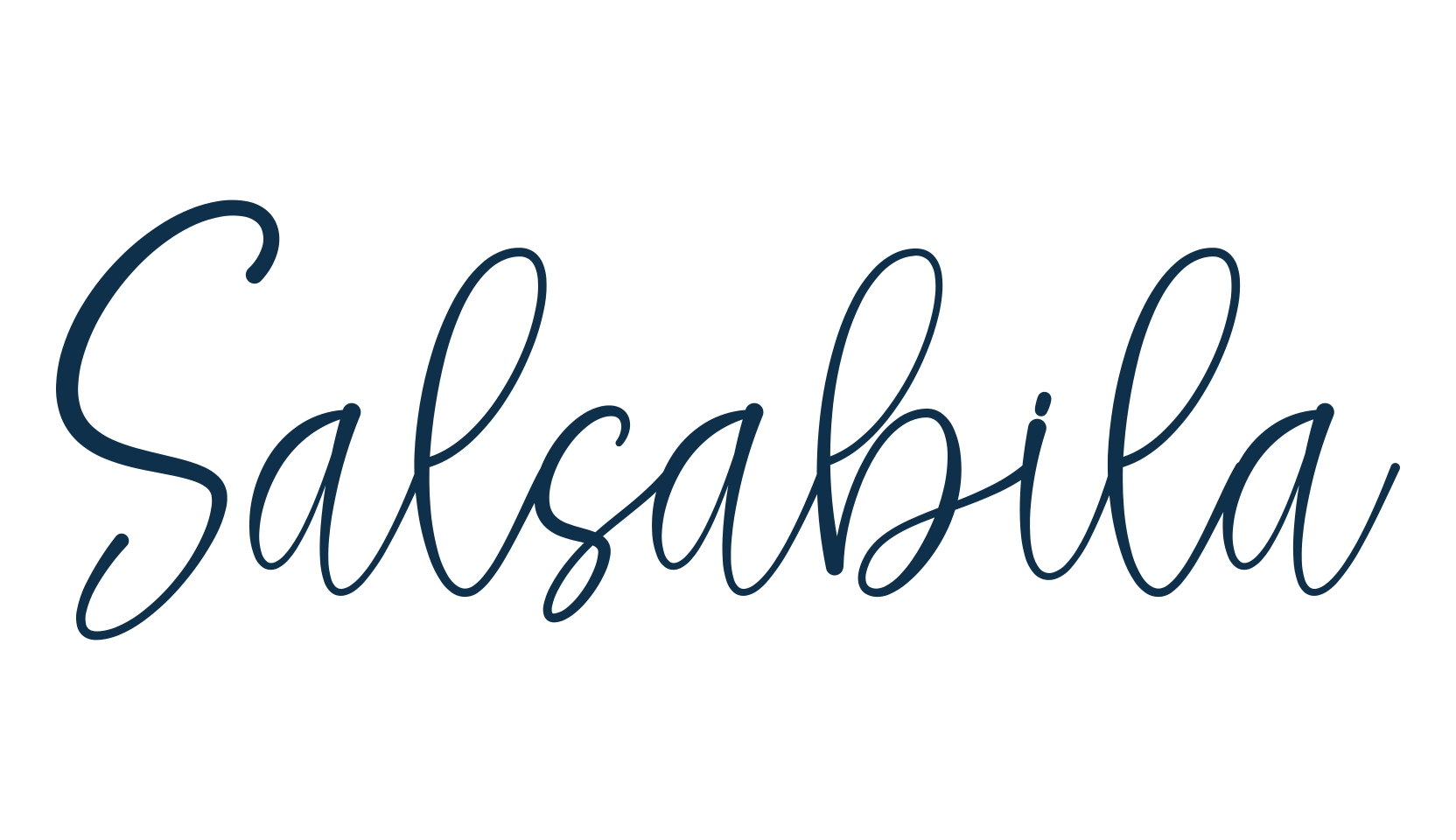 Salsabila, script handwritten fancy decorative calligraphy font preview