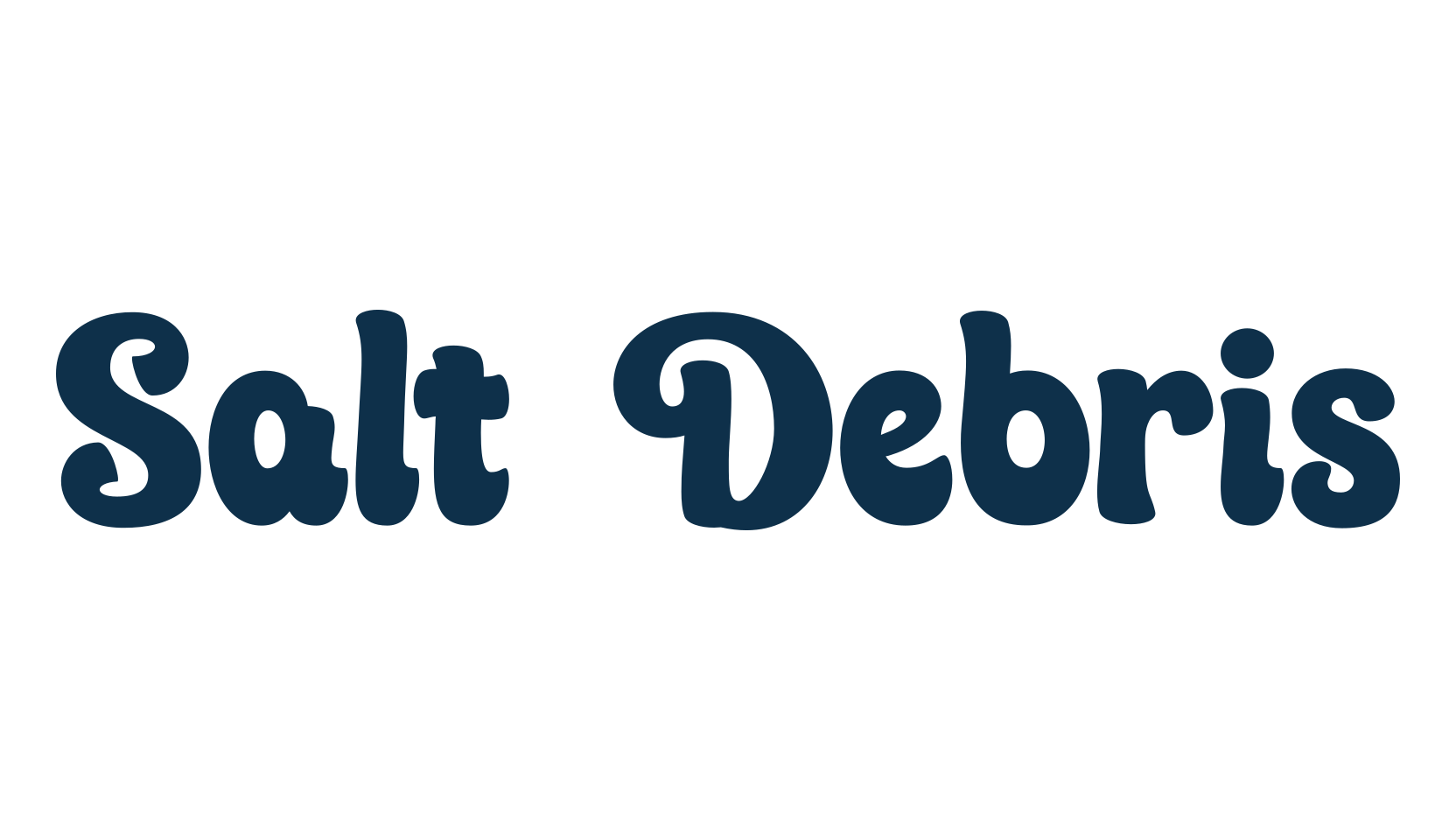 Salt Debris, display market font preview