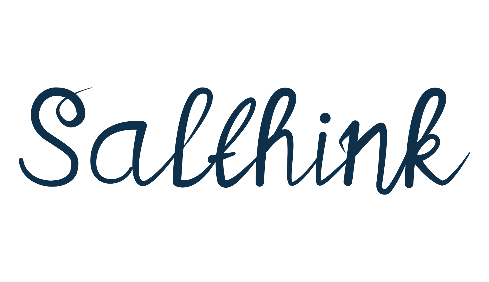 Salthink, fancy various decorative script calligraphy font preview