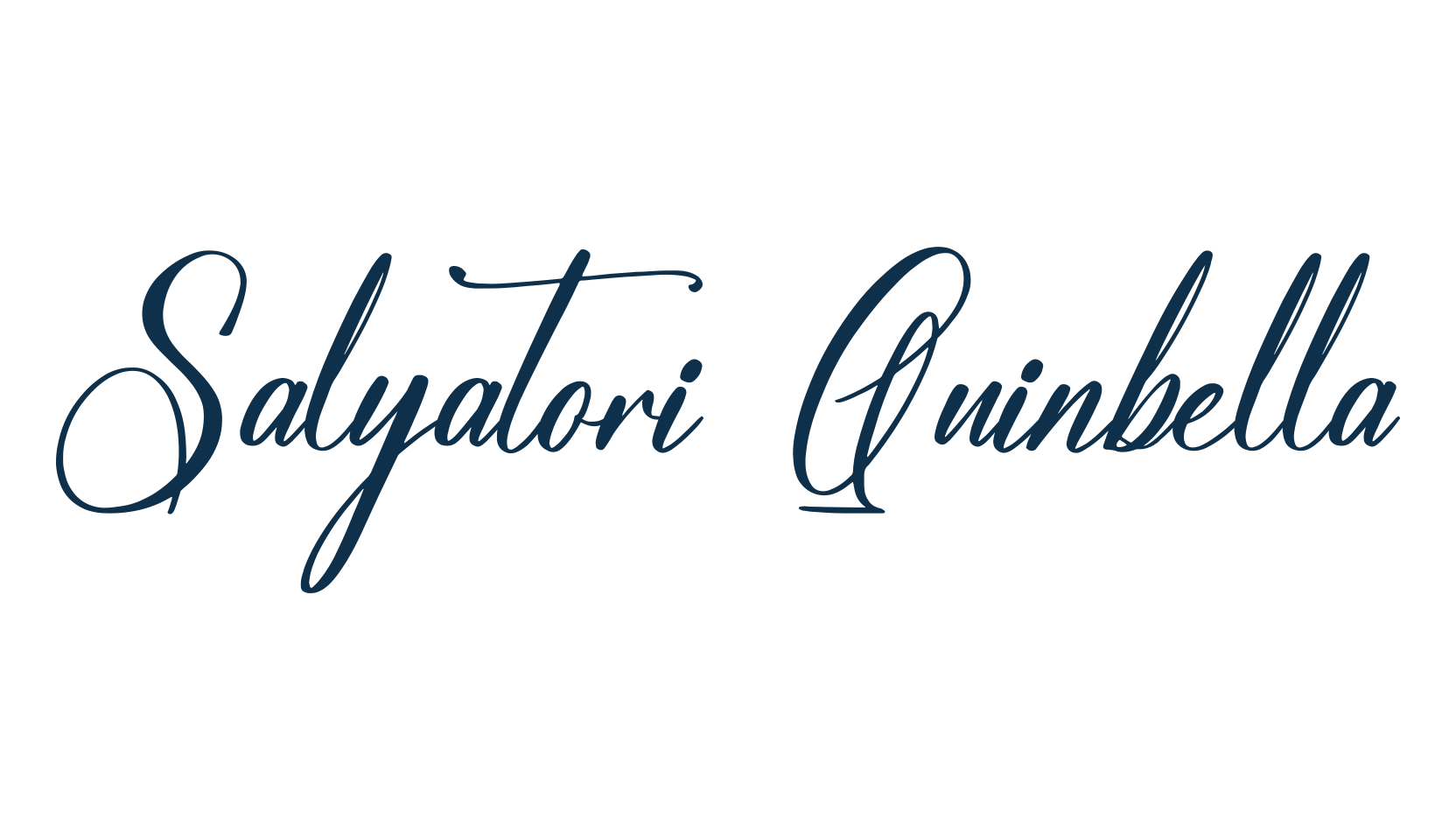 Salyatori Quinbella, script handwritten fancy decorative calligraphy font preview
