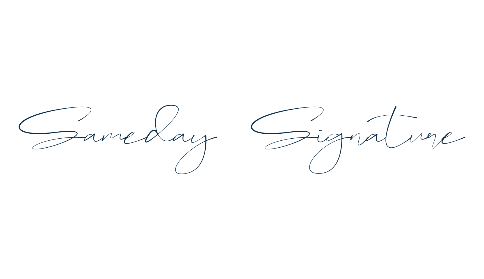 Sameday Signature, script handwritten fancy decorative calligraphy font preview