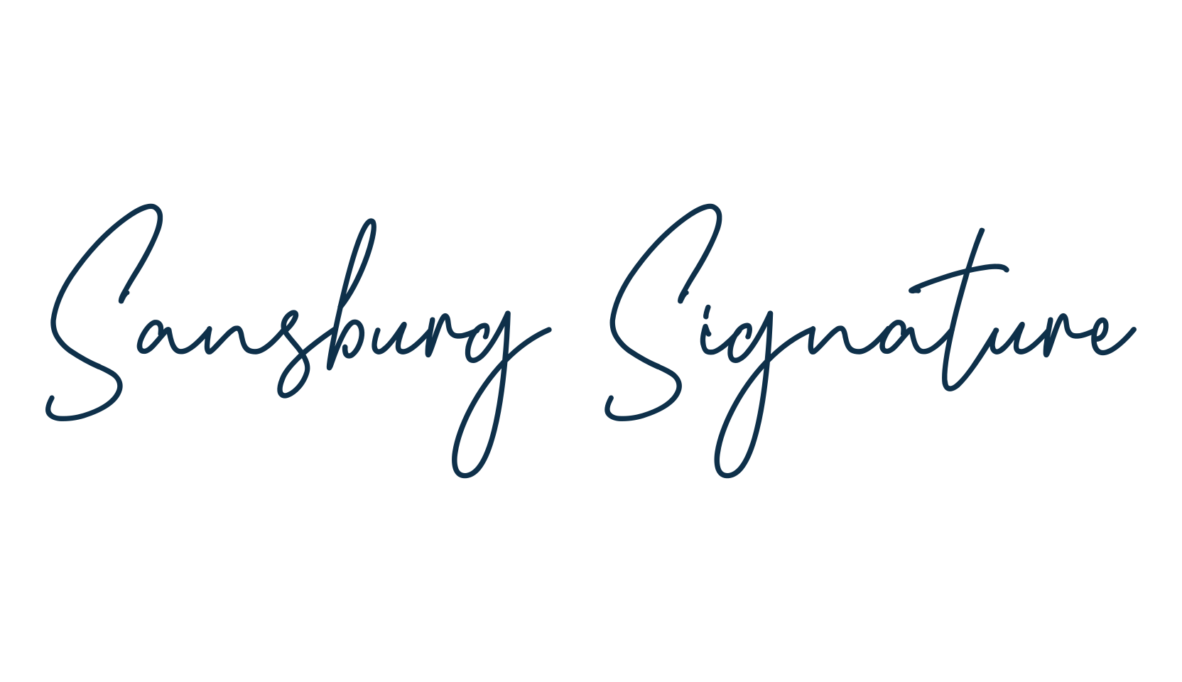Sansburg Signature, script handwritten fancy decorative calligraphy font preview