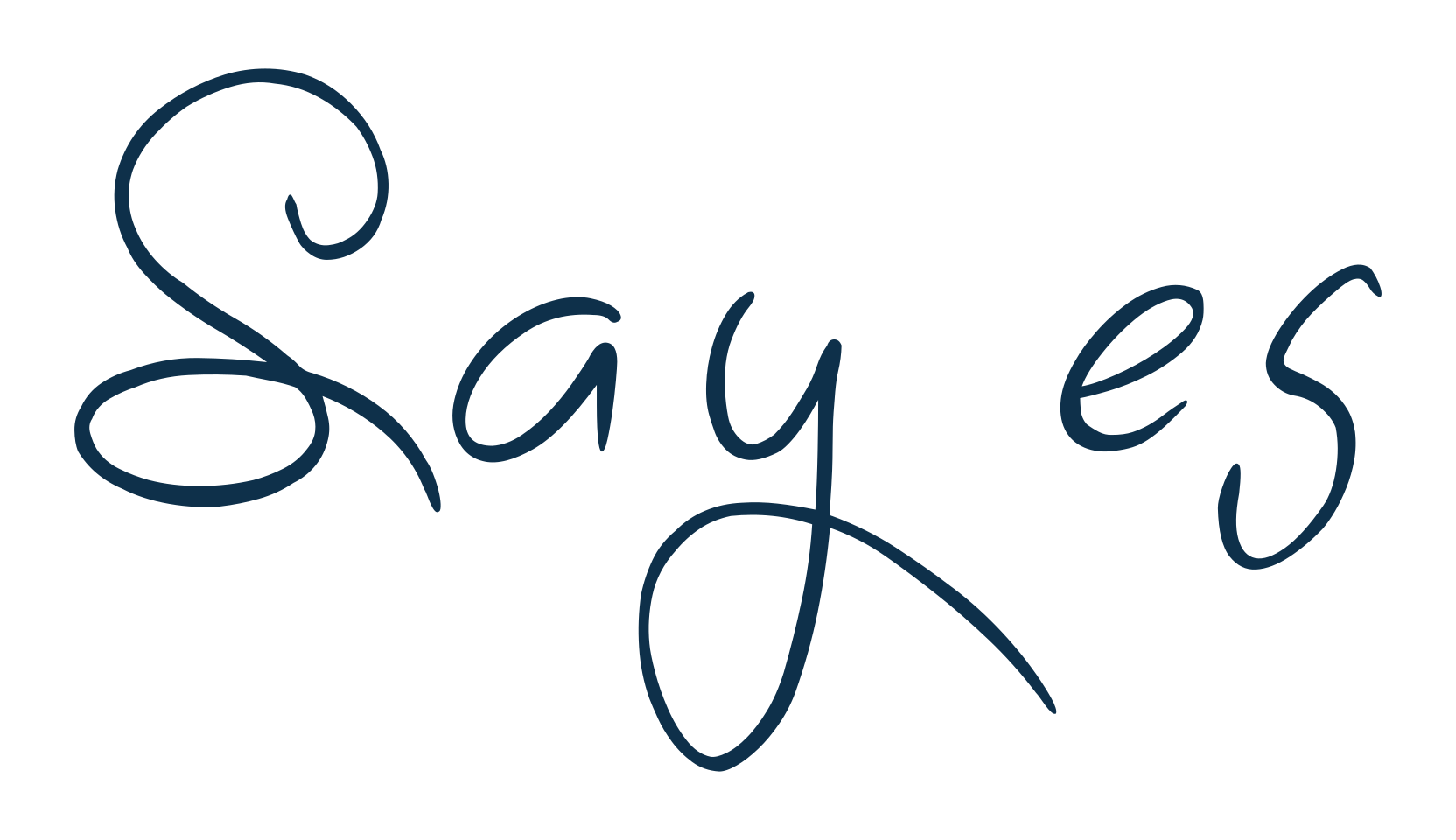 Sayes, script handwritten fancy decorative calligraphy font preview