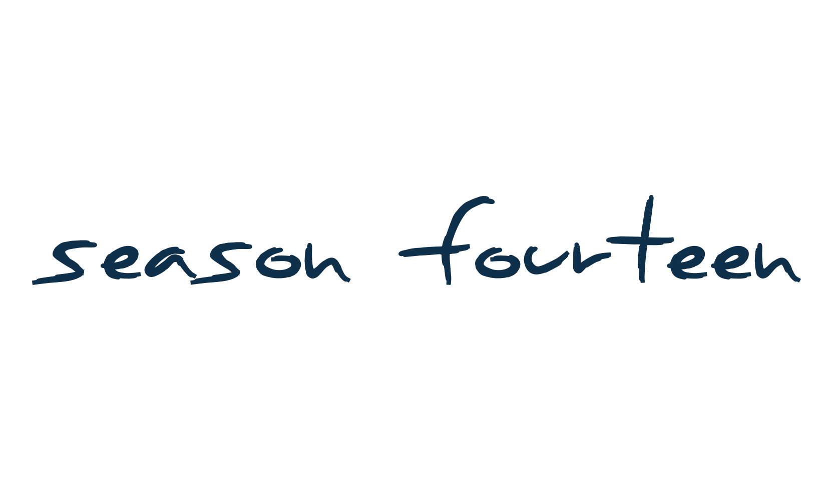 Season Fourteen, script handwritten fancy decorative calligraphy font preview