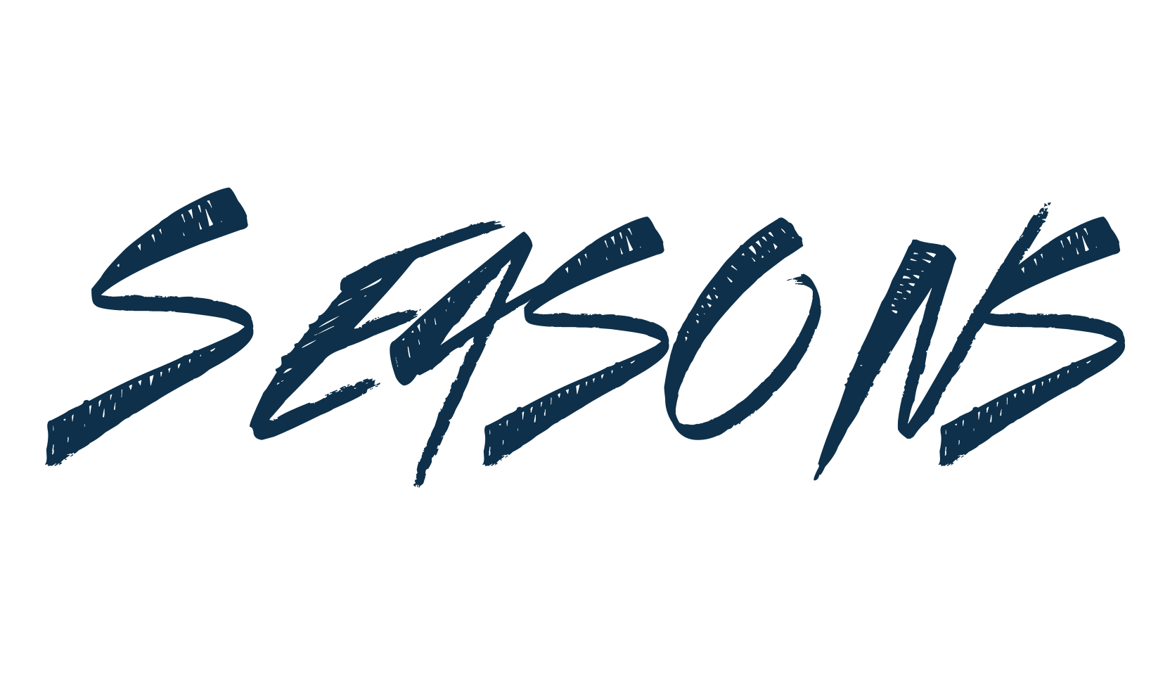 Seasons, fancy various decorative script calligraphy font preview