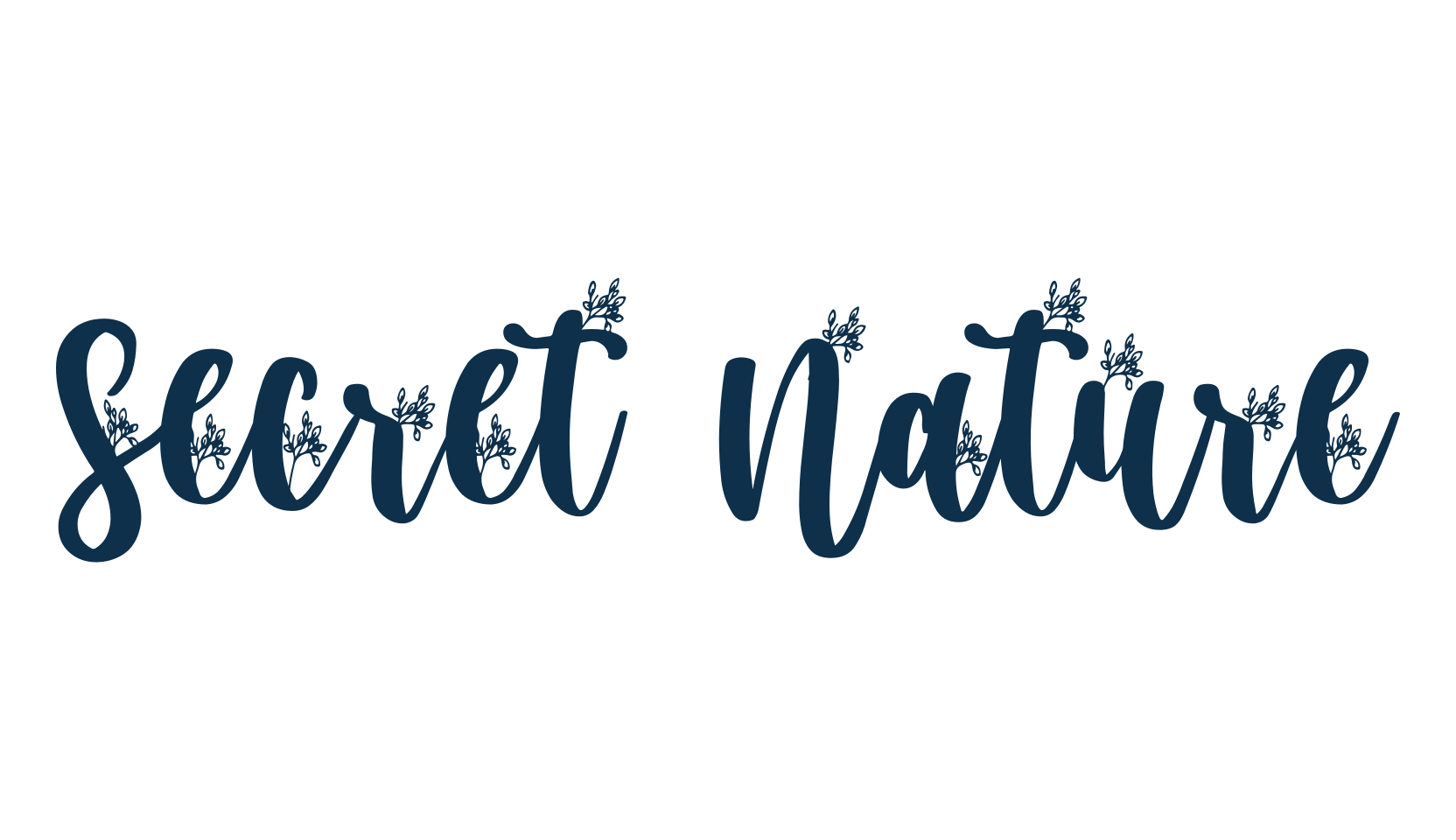 Secret Nature, decorative font preview