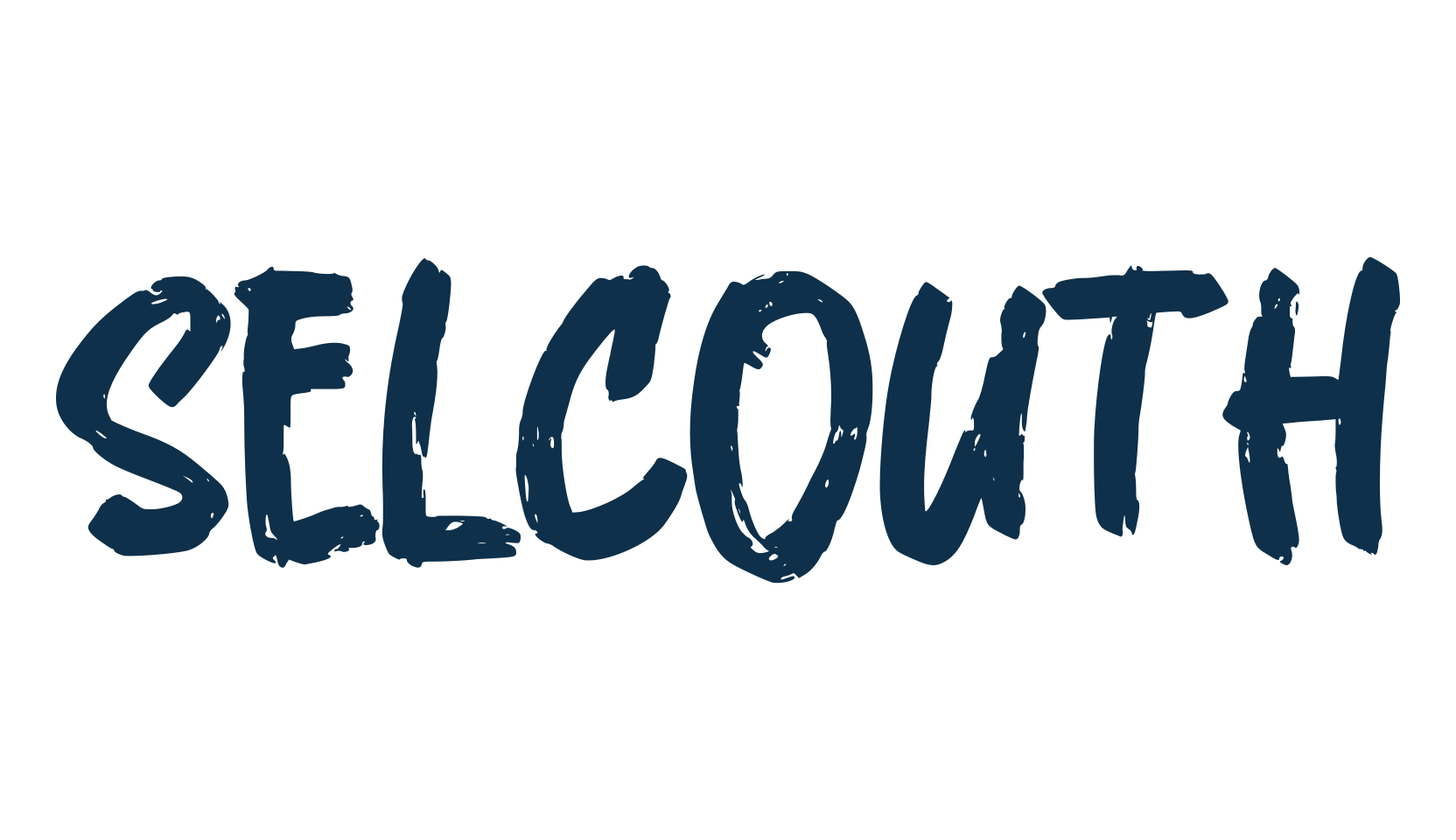 Selcouth, script brush fancy decorative calligraphy font preview