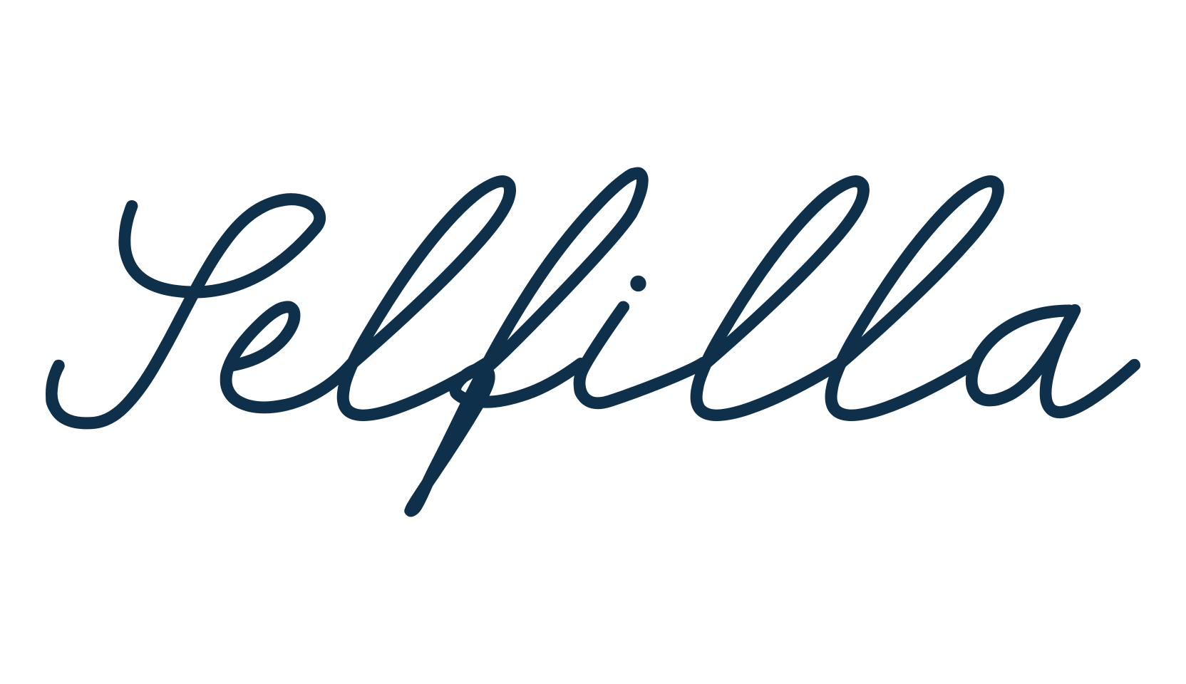 Selfilla, script handwritten fancy decorative calligraphy font preview