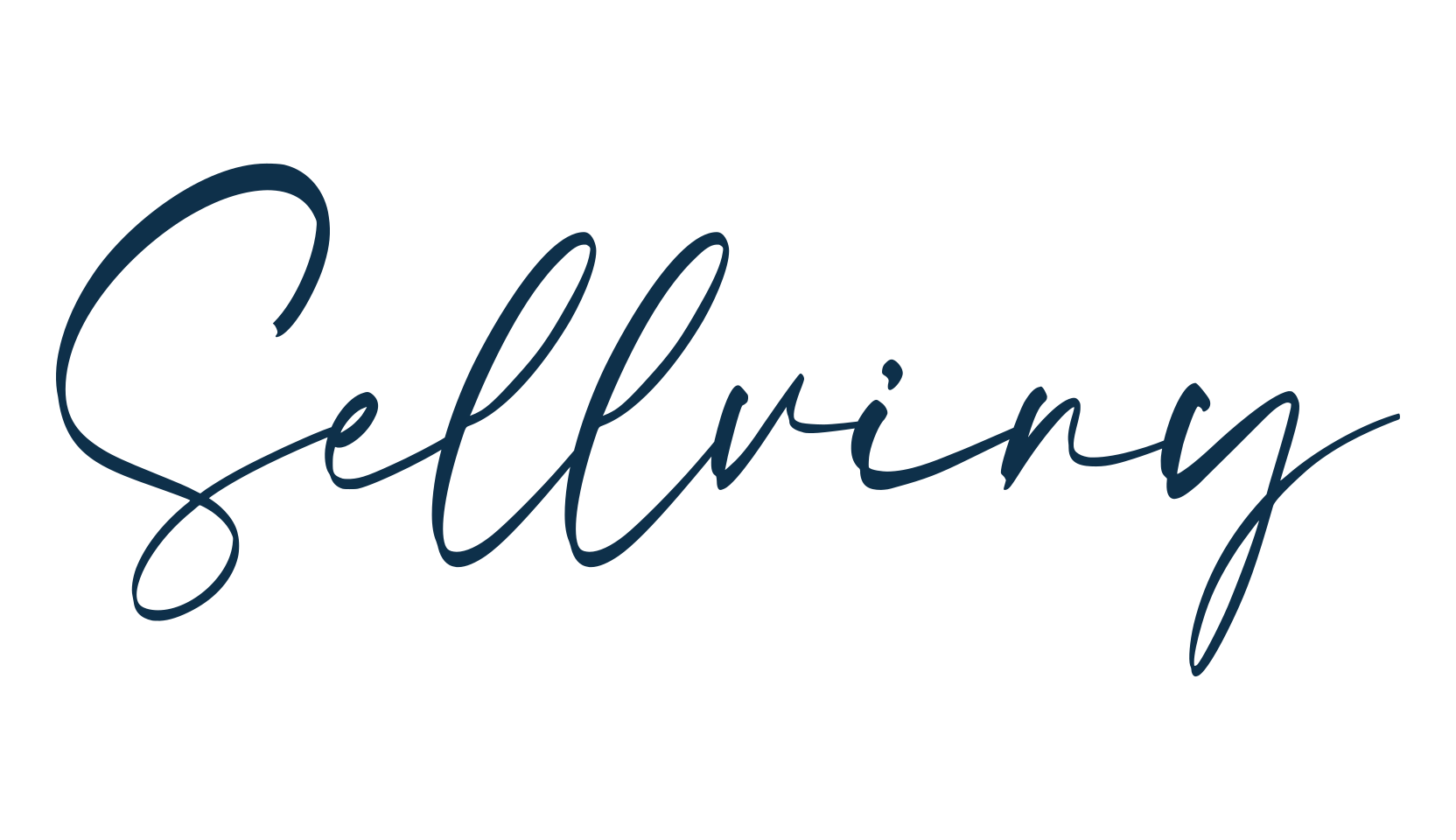 Sellviny, script handwritten fancy decorative calligraphy font preview