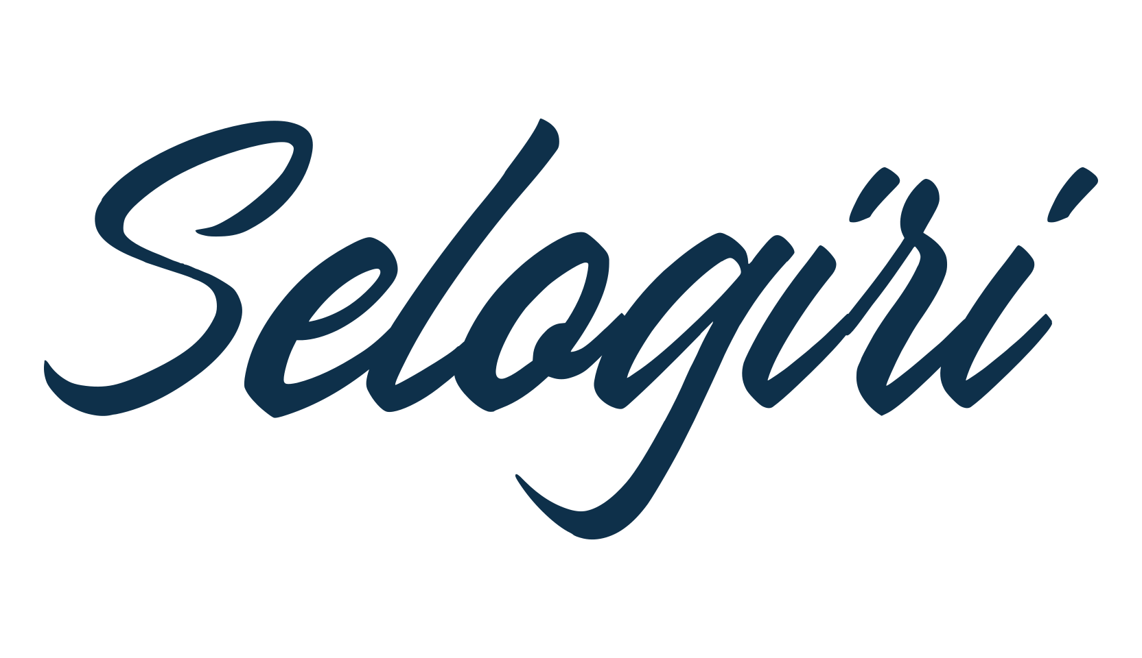 Selogiri, script handwritten fancy decorative calligraphy font preview