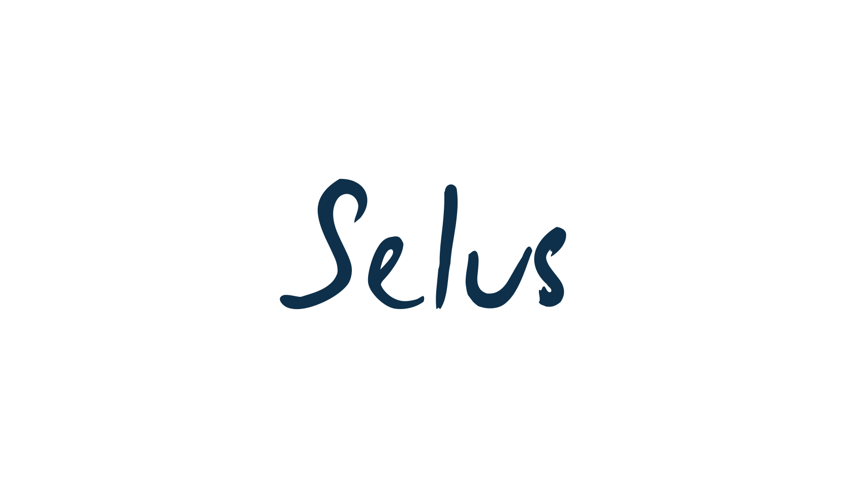 Selus, script handwritten fancy decorative calligraphy font preview