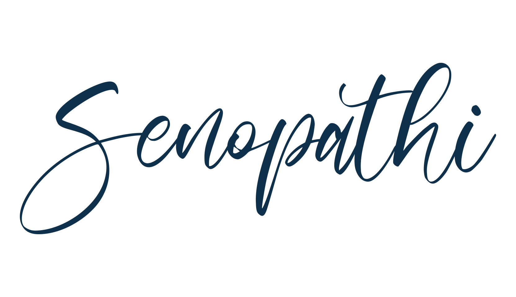 Senopathi, script handwritten fancy decorative calligraphy font preview