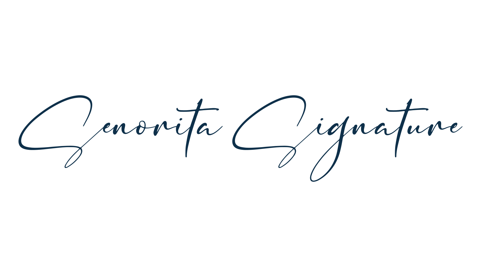 Senorita Signature, script handwritten fancy decorative calligraphy font preview