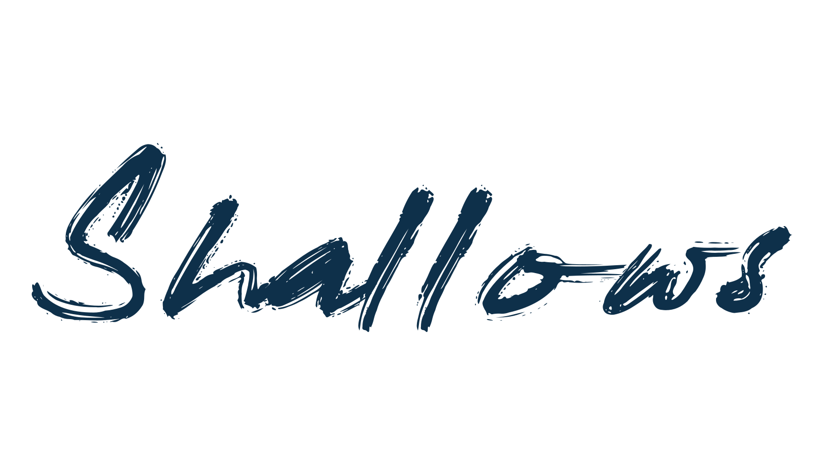 Shallows, script brush fancy decorative calligraphy font preview