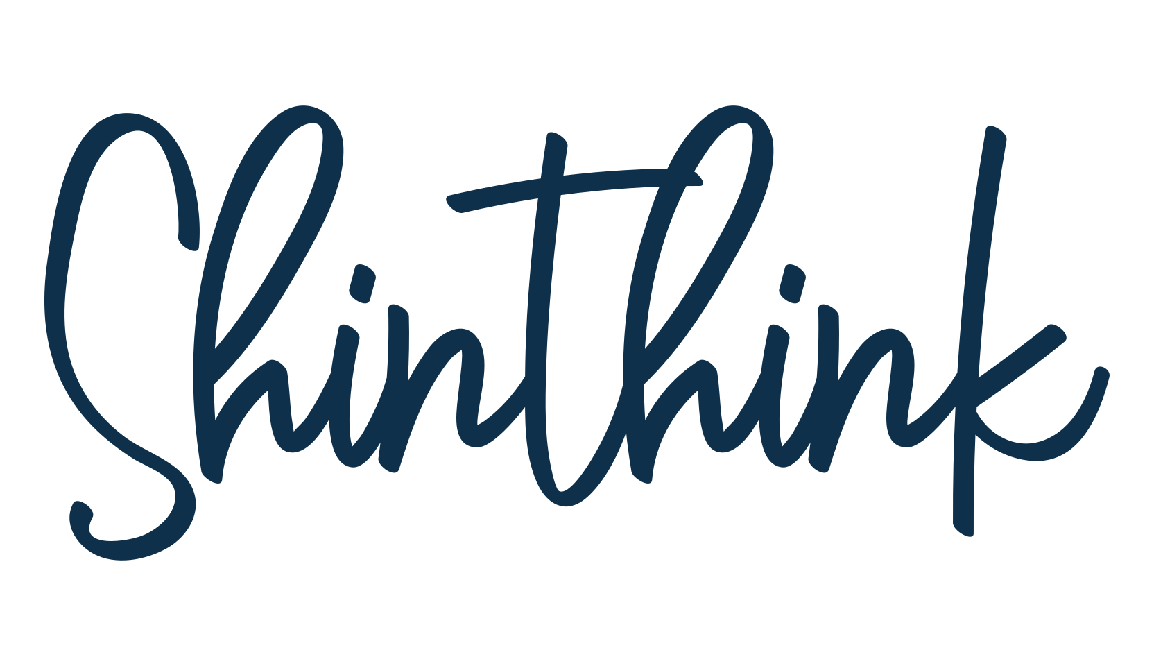 Shinthink, script handwritten fancy decorative calligraphy font preview