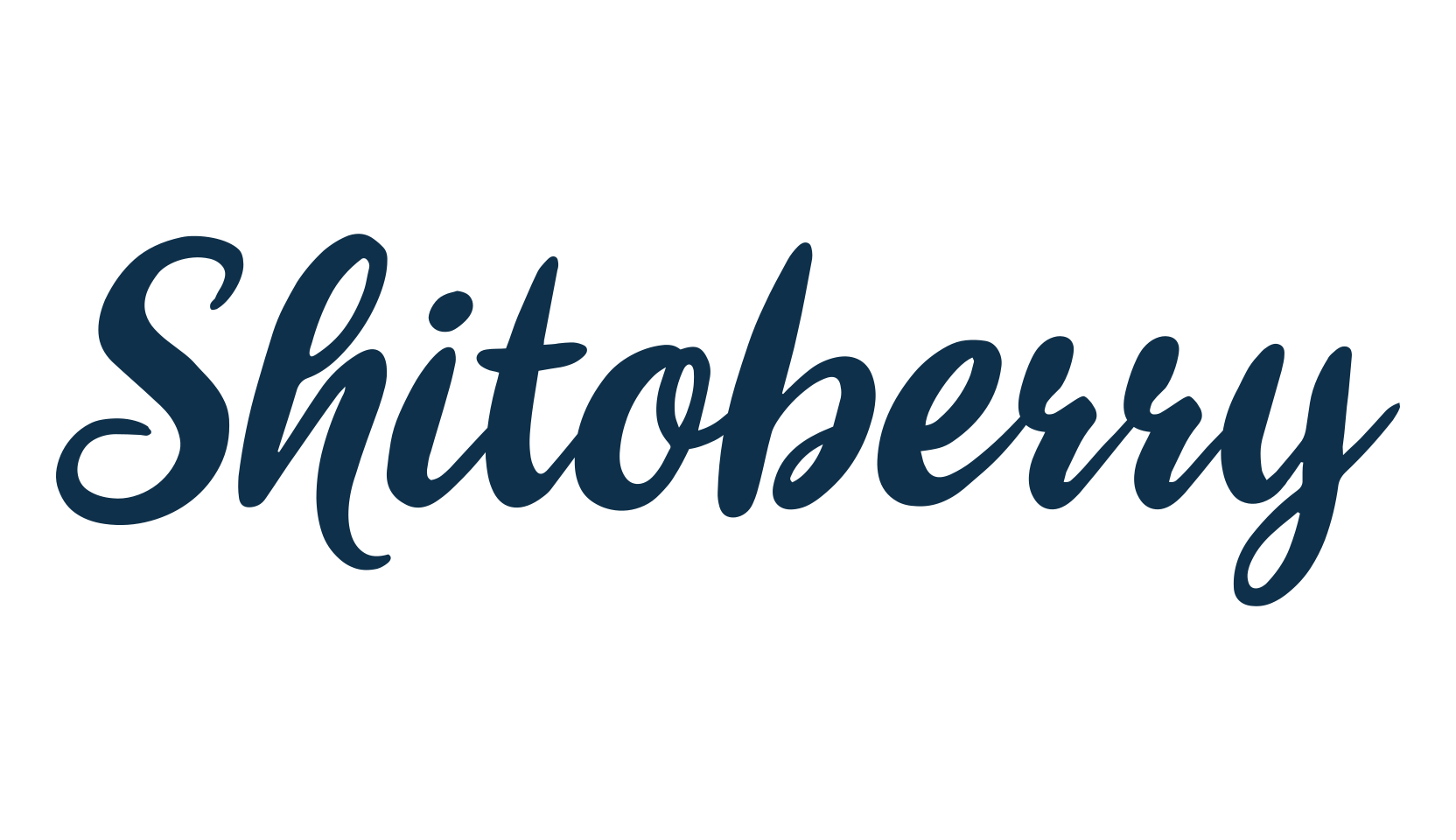 Shitoberry, display market font preview