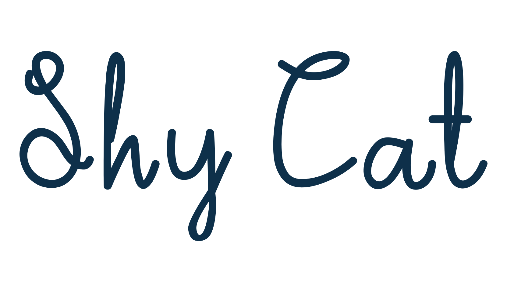 Shy Cat, script handwritten fancy decorative calligraphy font preview