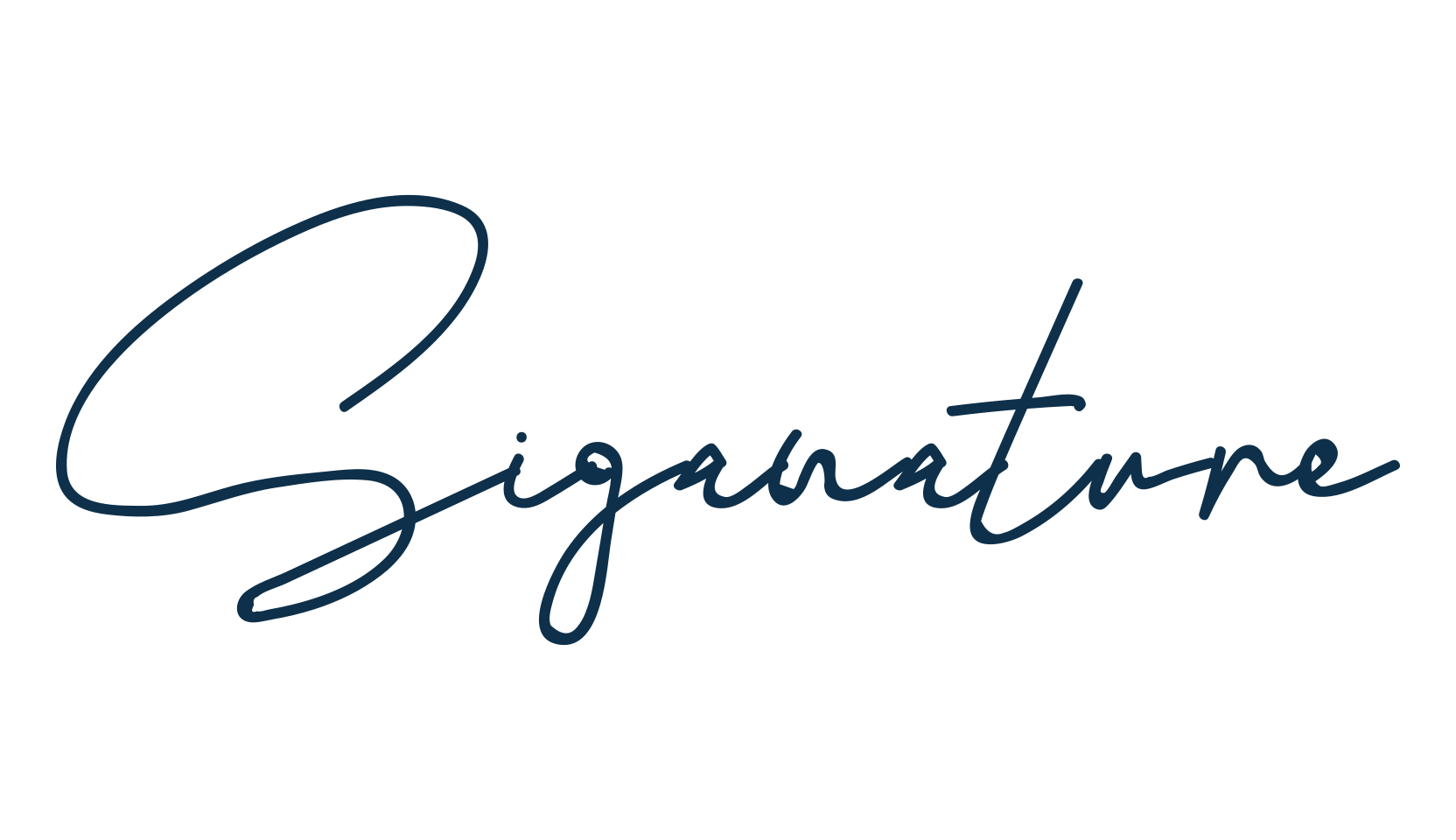 Siganature, script handwritten fancy decorative calligraphy font preview