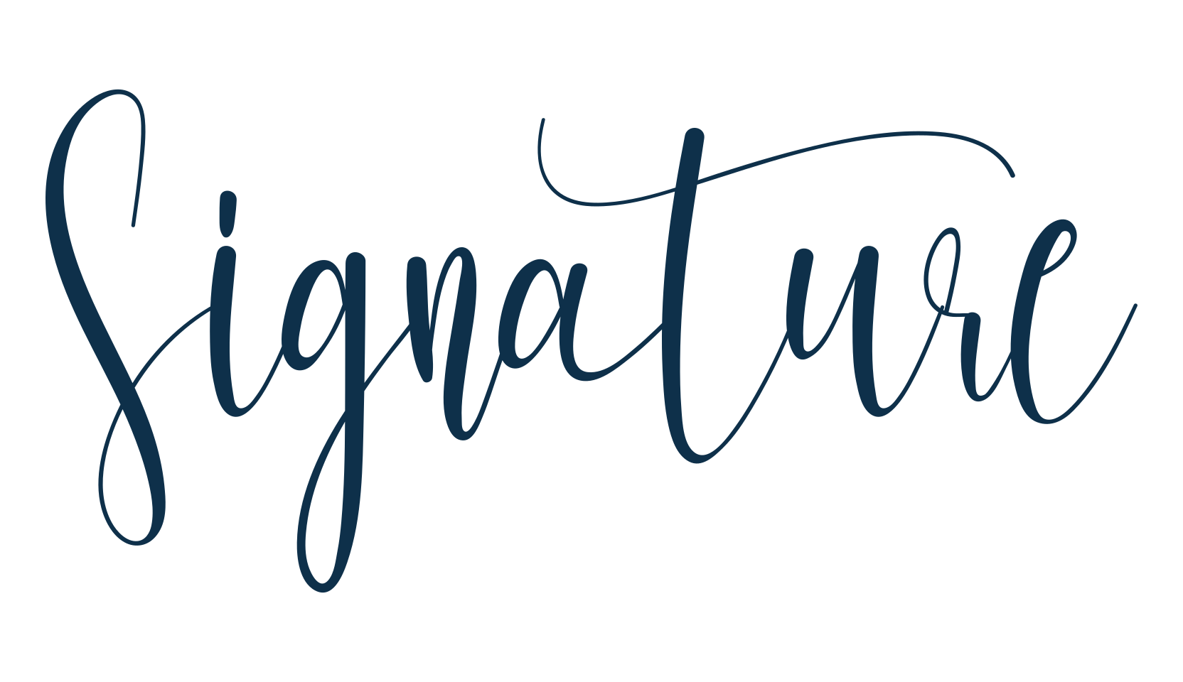Signature (signature-8), script calligraphy fancy decorative font preview
