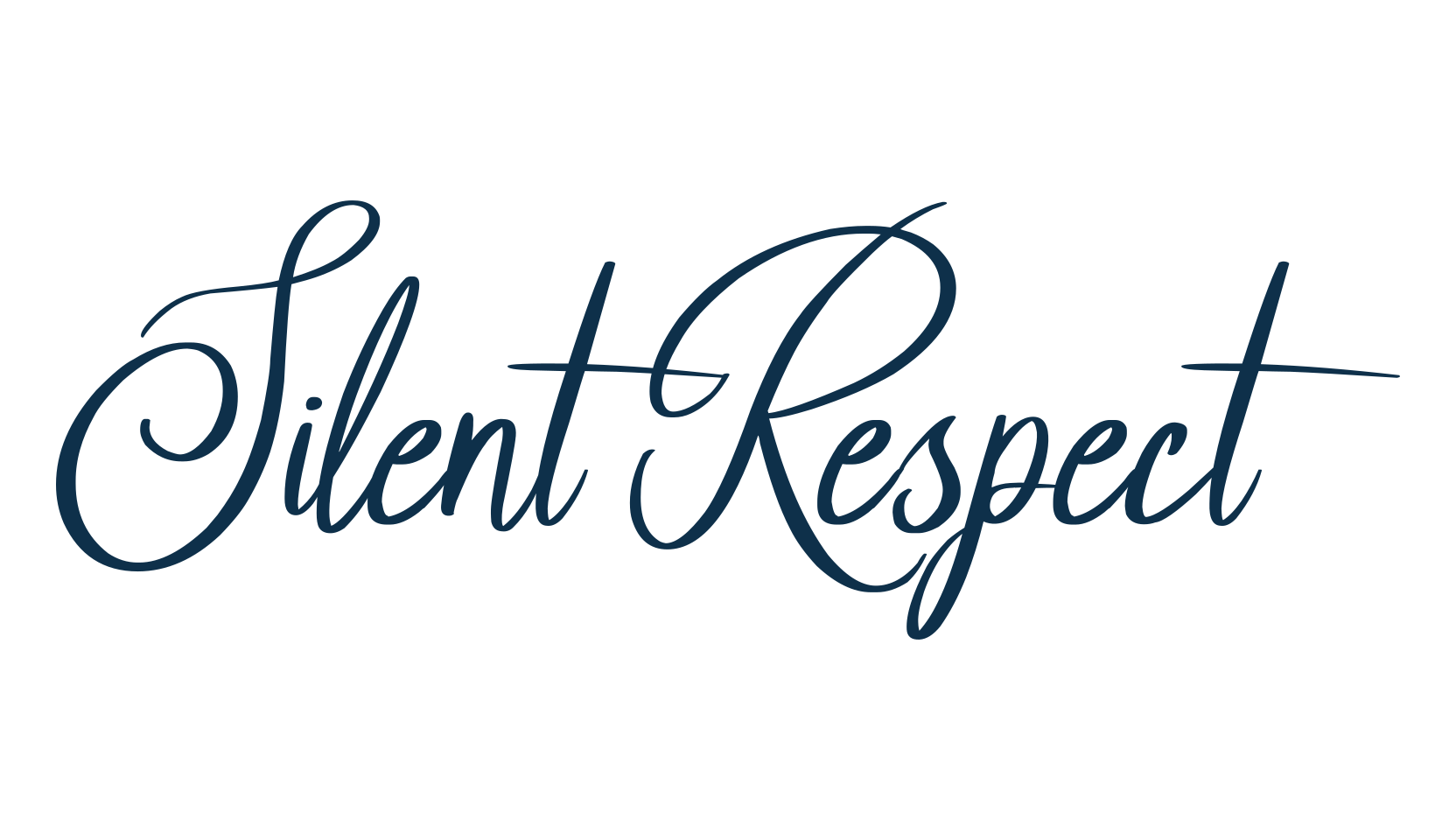 Silent Respect, script handwritten fancy decorative calligraphy font preview