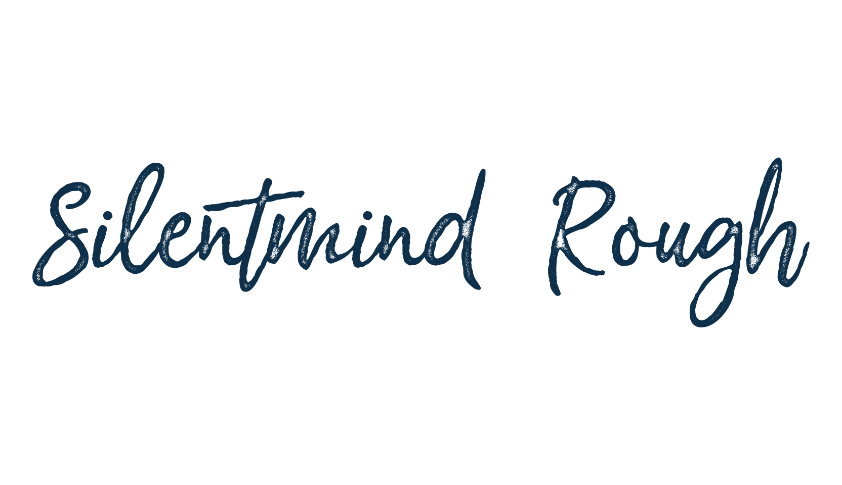 Silentmind Rough, script handwritten fancy decorative calligraphy font preview