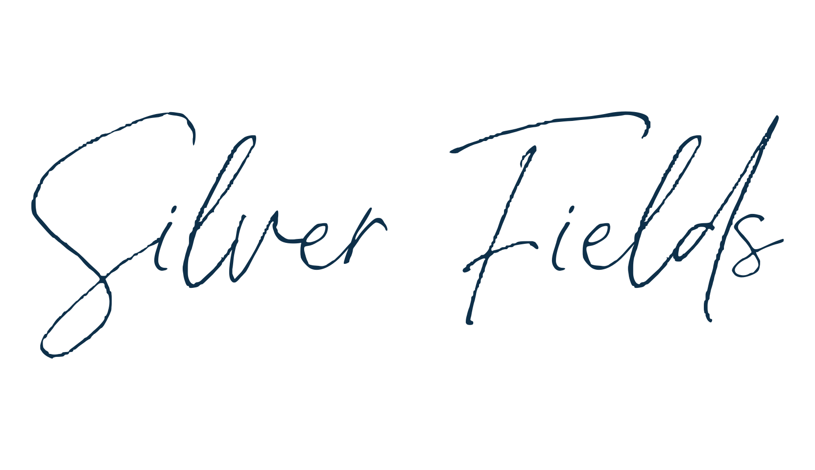 Silver Fields, script handwritten fancy decorative calligraphy font preview