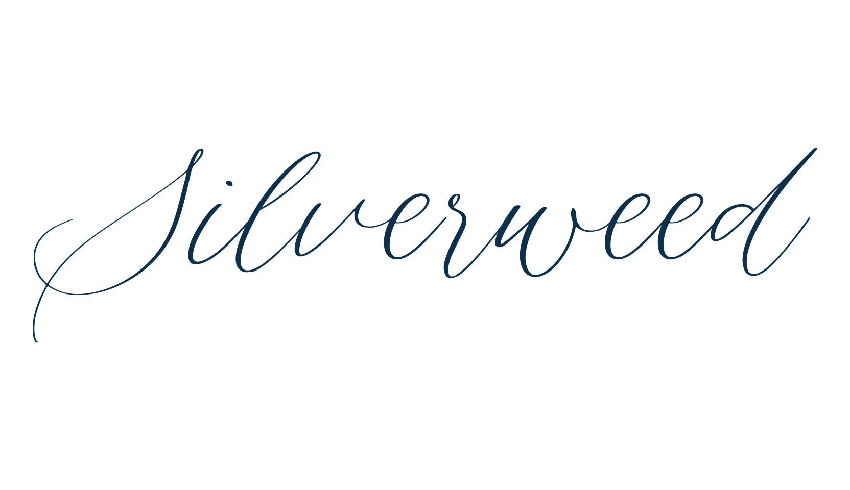 Silverweed, calligraphy font preview