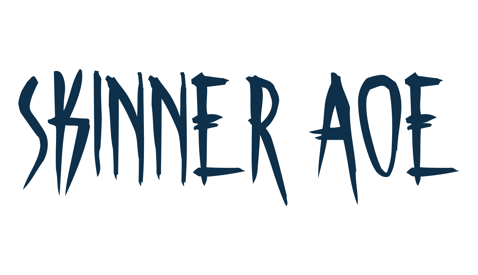 Skinner AOE, various font preview