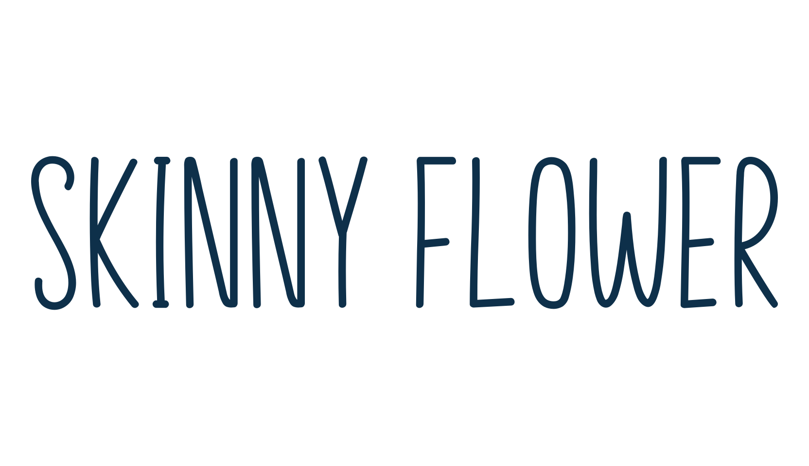 Skinny Flower, script handwritten fancy decorative calligraphy font preview
