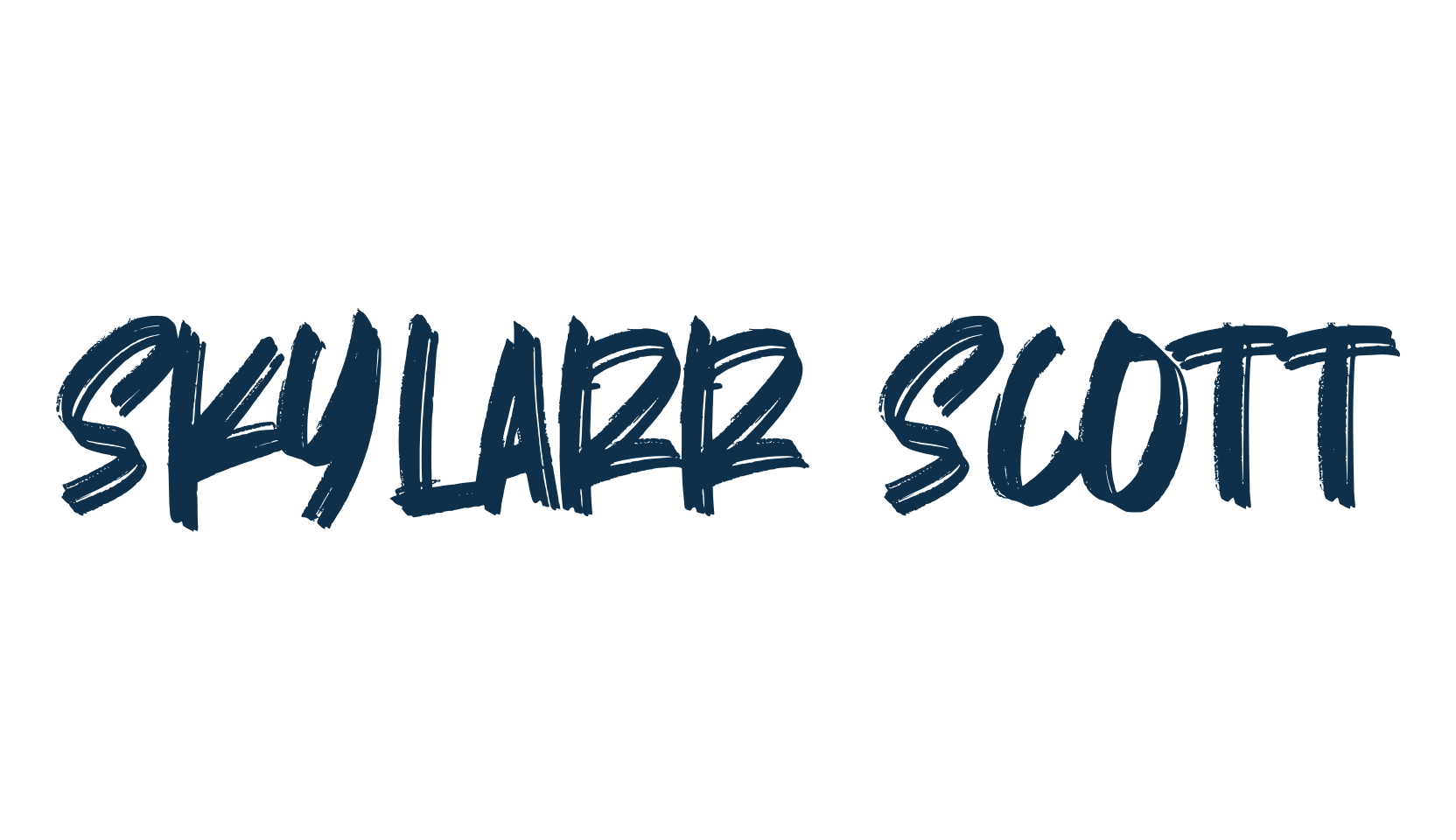 Skylarr Scott, script brush fancy decorative calligraphy font preview