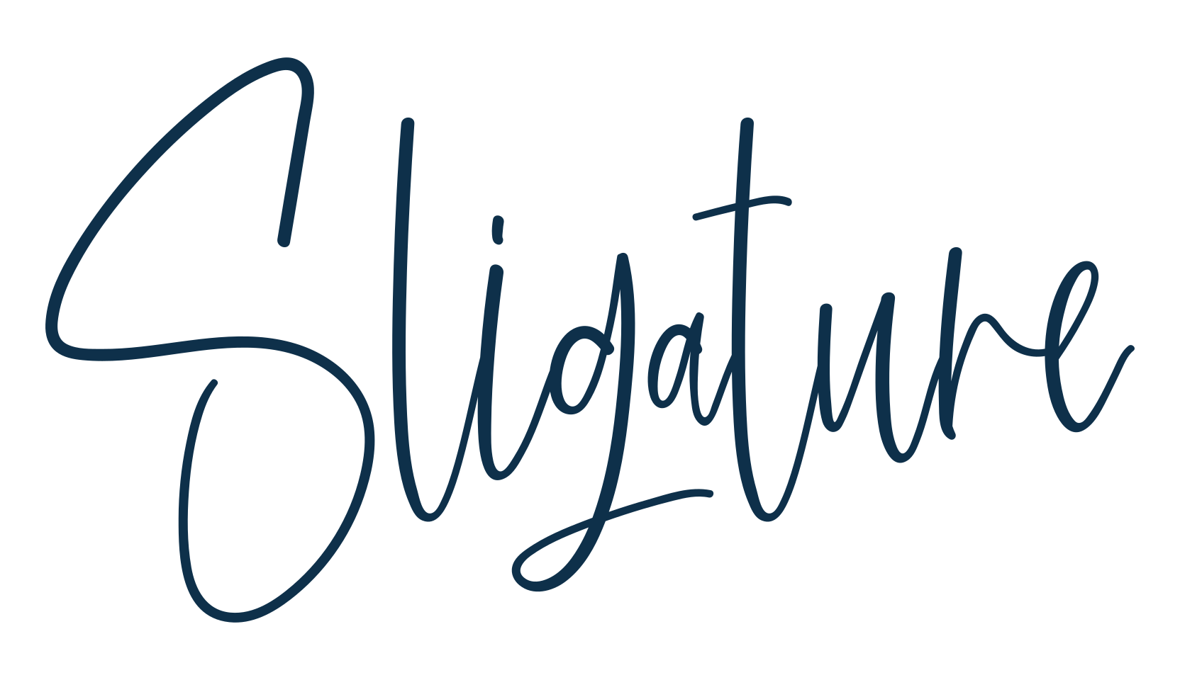 Sligature, script handwritten fancy decorative calligraphy font preview