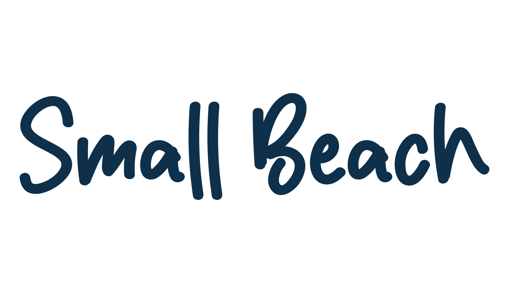 Small Beach, script handwritten fancy decorative calligraphy font preview