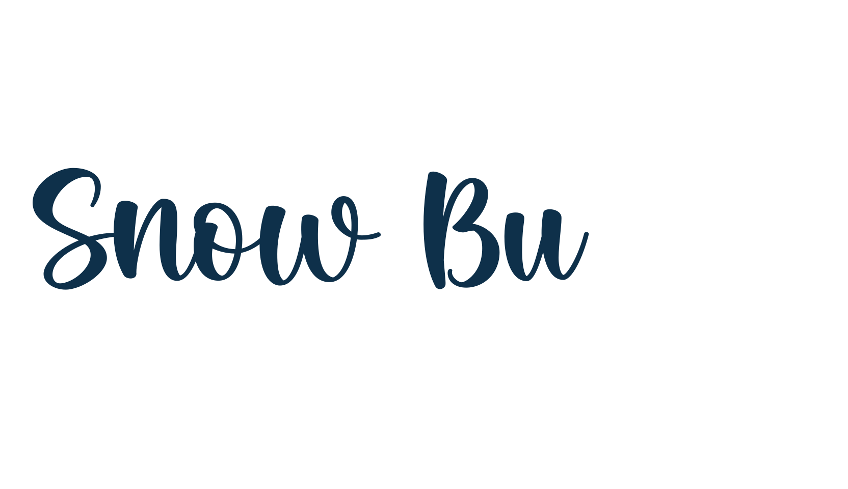 Snow Buddy, fancy decorative font preview