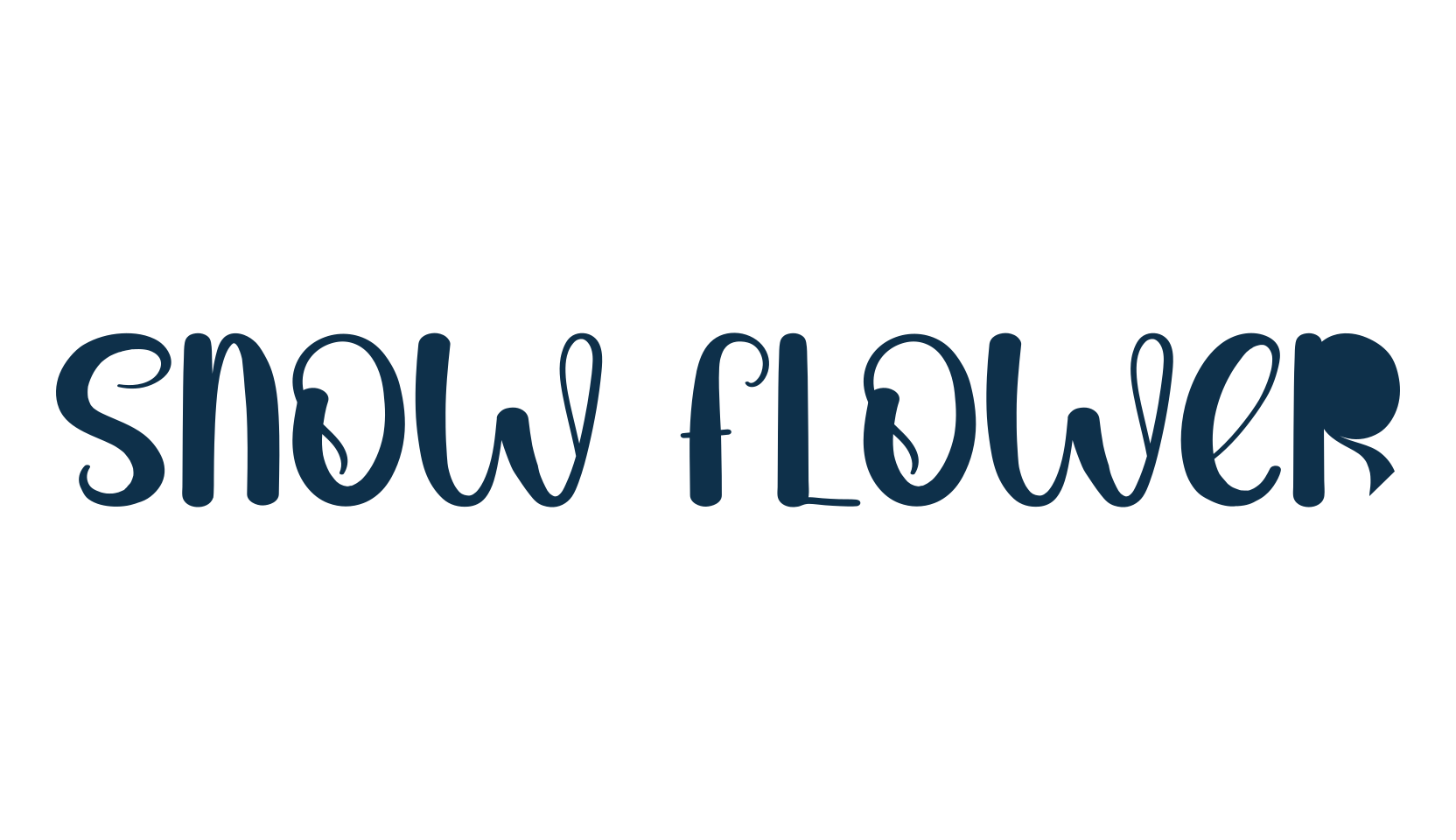 Snow Flower, fancy various decorative script calligraphy font preview