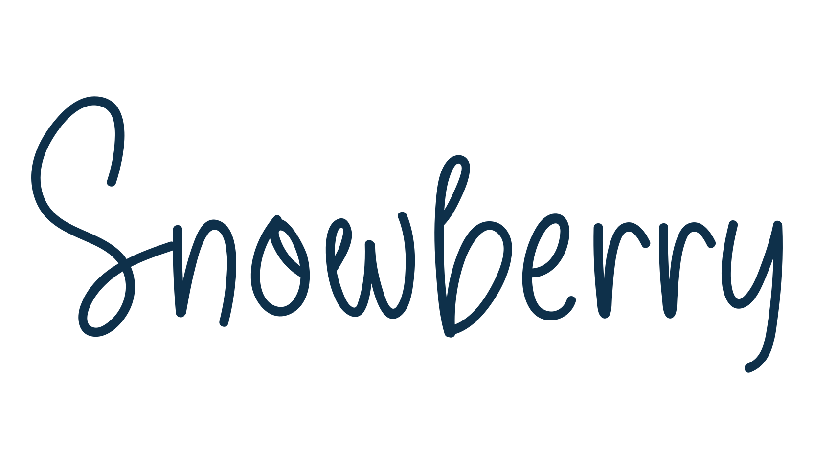 Snowberry, script handwritten fancy decorative calligraphy font preview