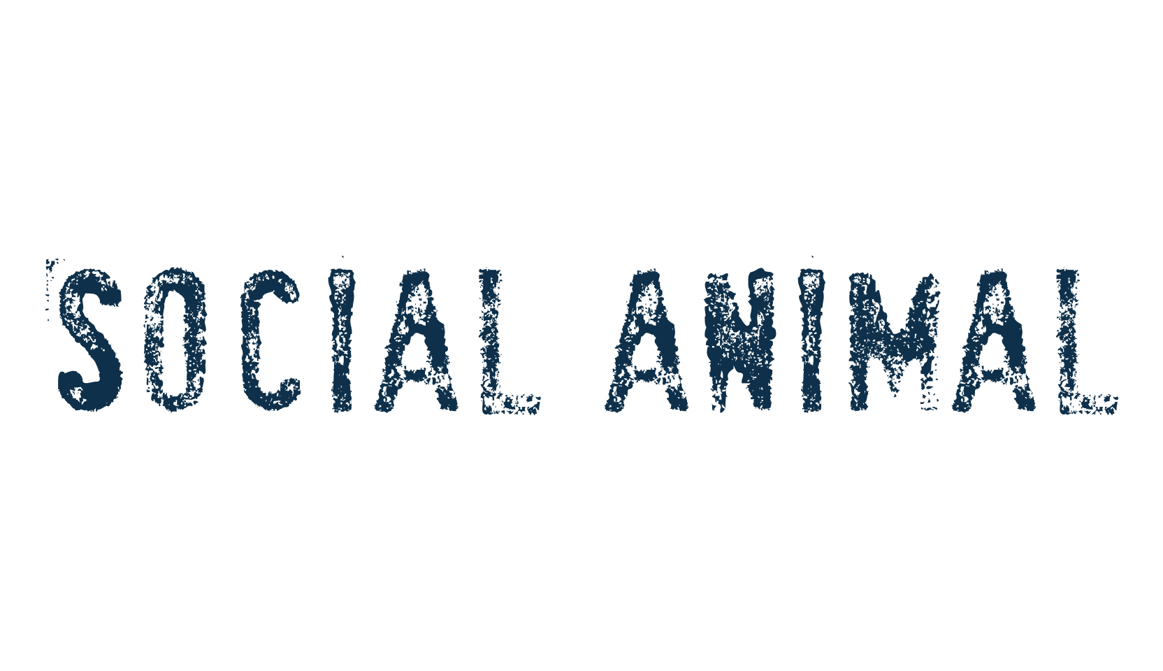 SociaL AnimaL, destroy font preview