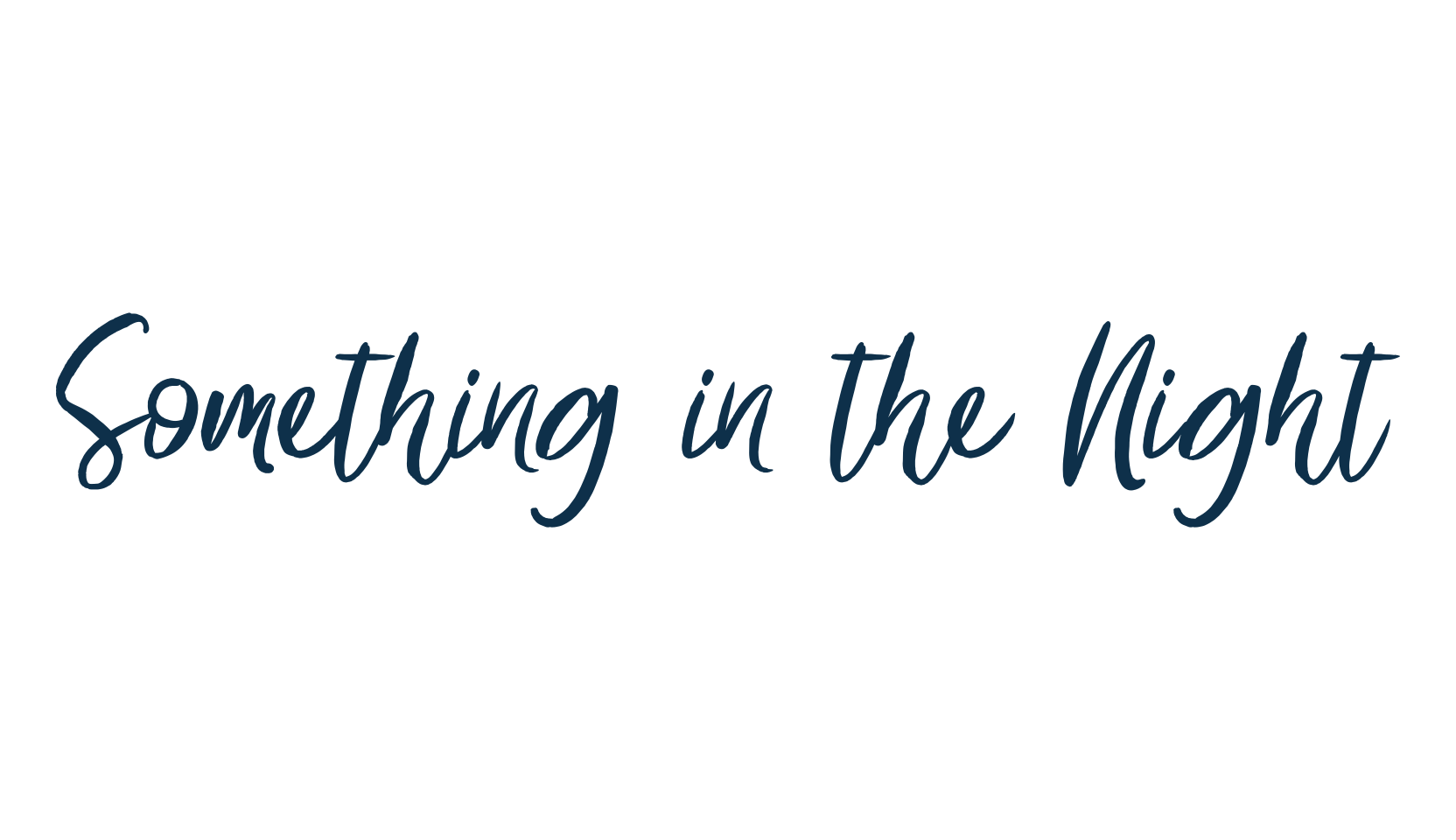 Something in the Night, script handwritten fancy decorative calligraphy font preview