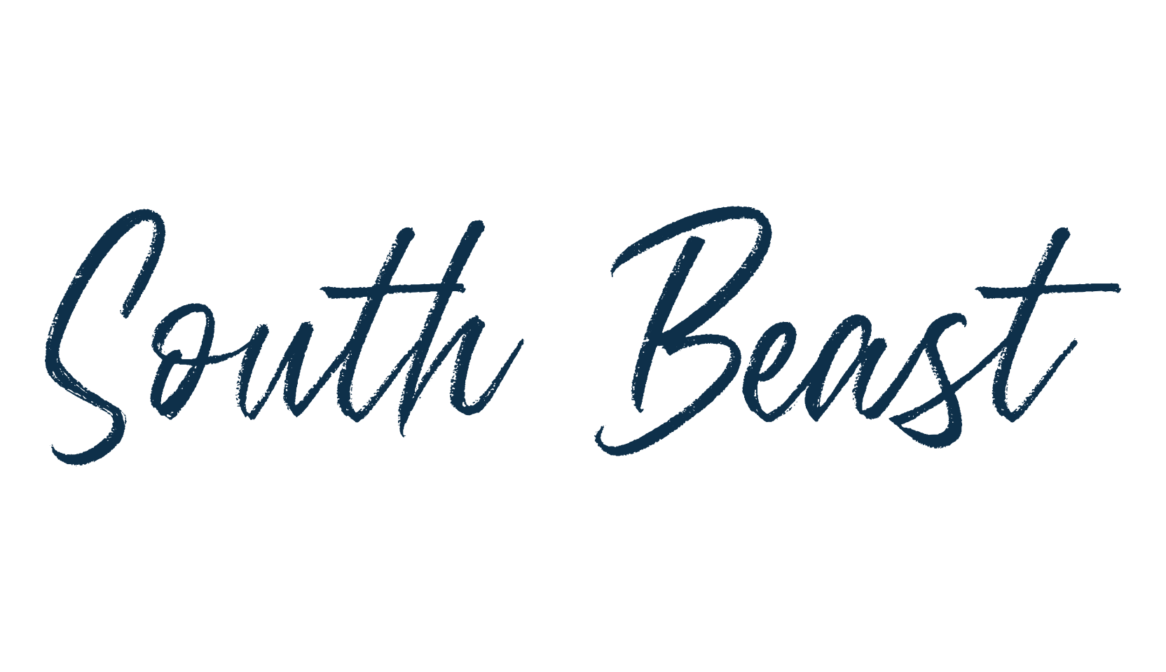 South Beast, script brush fancy decorative calligraphy font preview