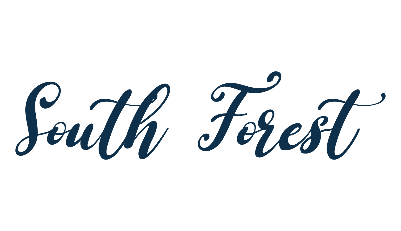 South Forest, fancy various decorative script calligraphy font preview