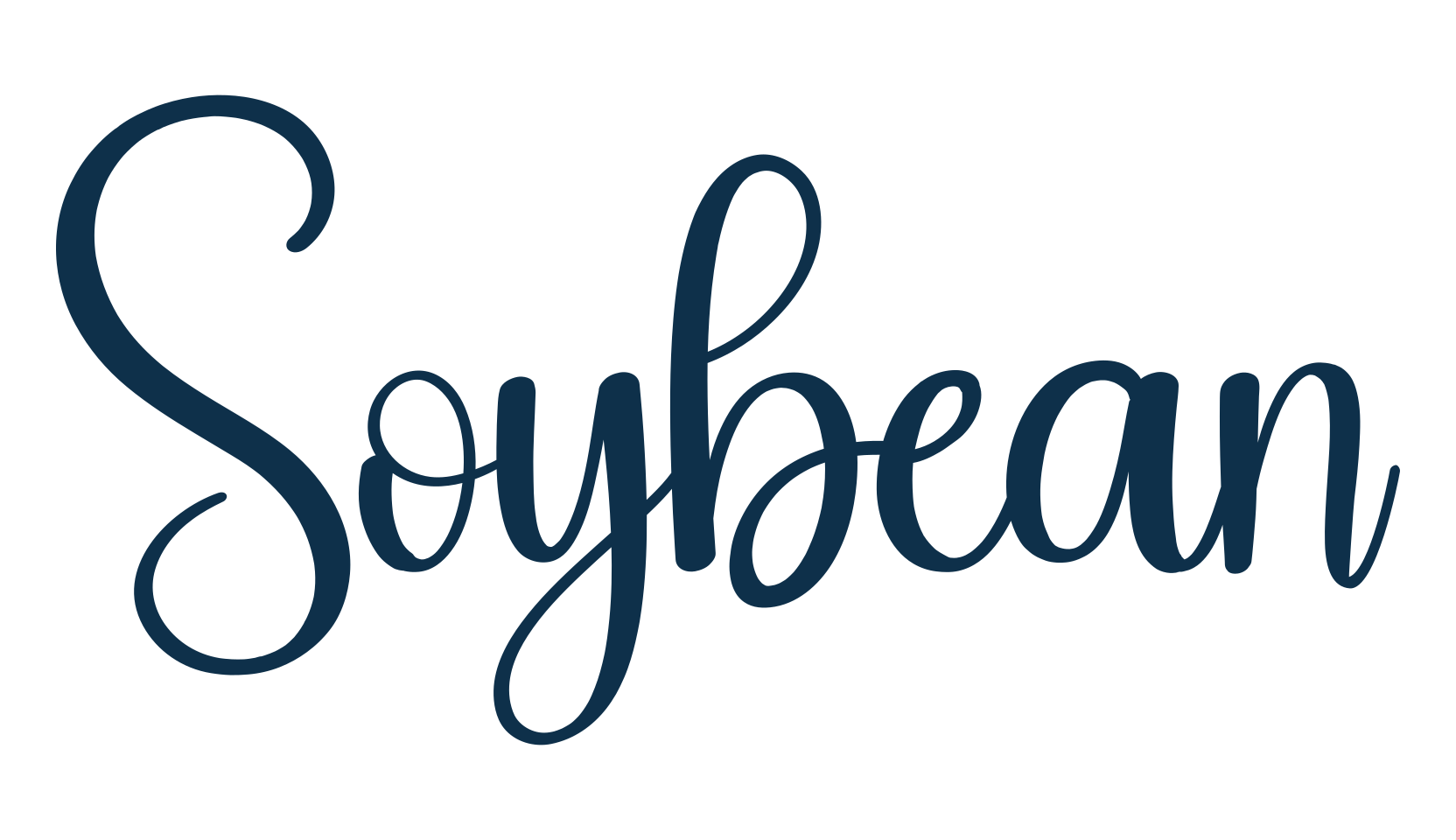 Soybean, script handwritten fancy decorative calligraphy font preview